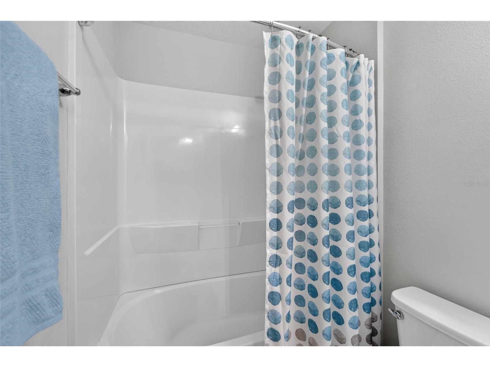 12820 Bent Twig Drive Riverview FL 33579 TB8529006 image43