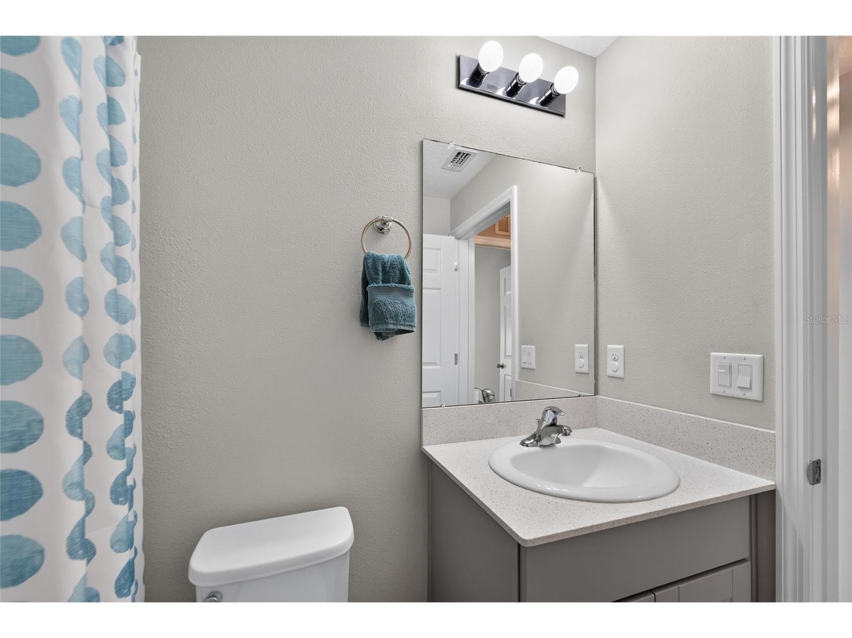 12820 Bent Twig Drive Riverview FL 33579 TB8529006 image44