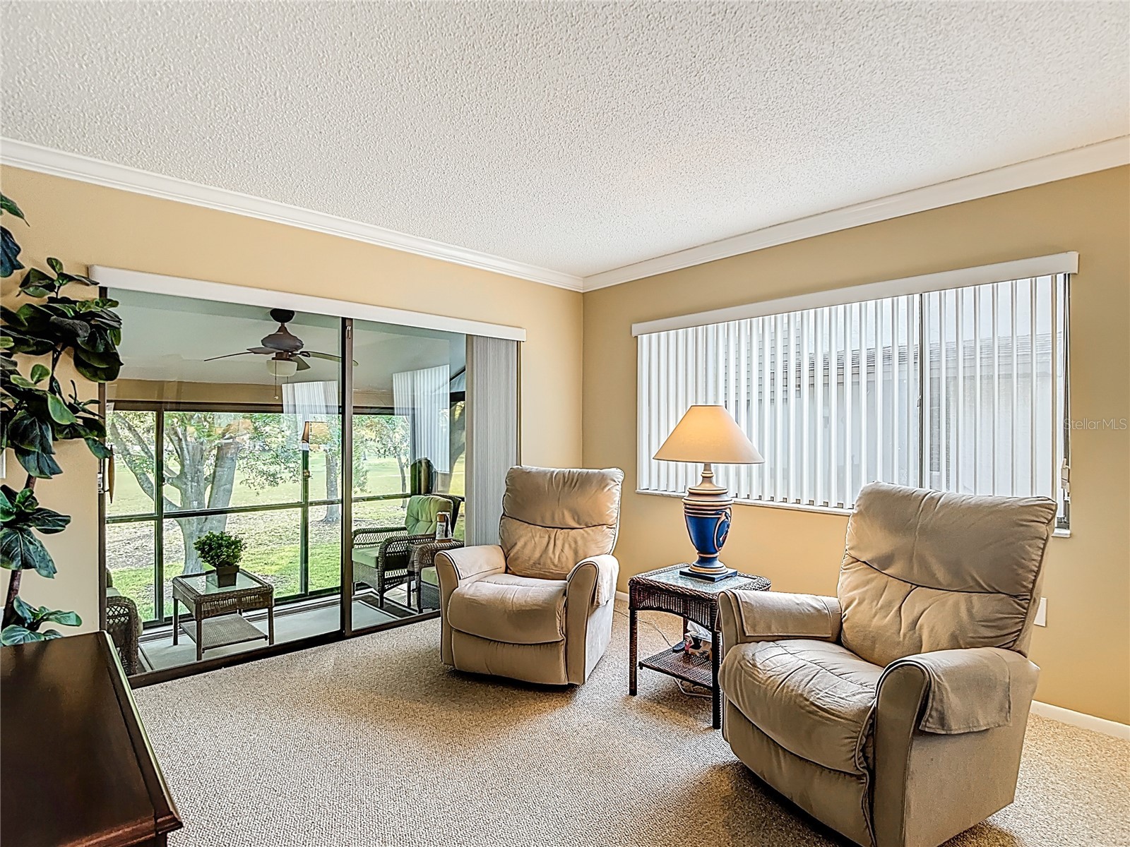 12820 Wedgewood Way #D Hudson FL 34667 TB8488811 image12