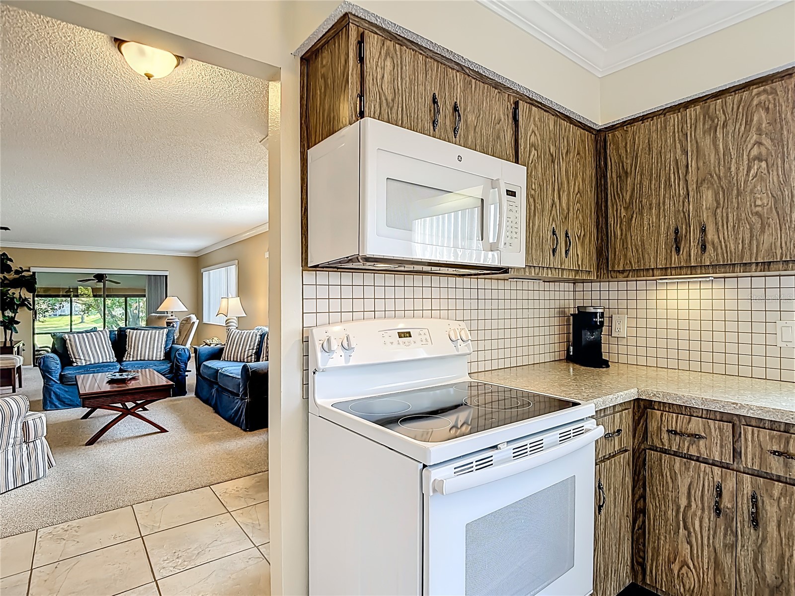 12820 Wedgewood Way #D Hudson FL 34667 TB8488811 image19