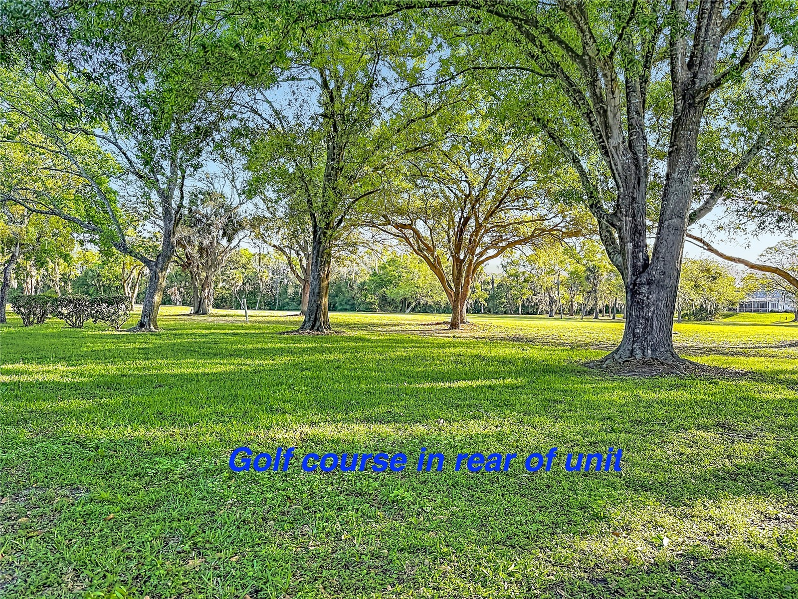 12820 Wedgewood Way #D Hudson FL 34667 TB8488811 image48