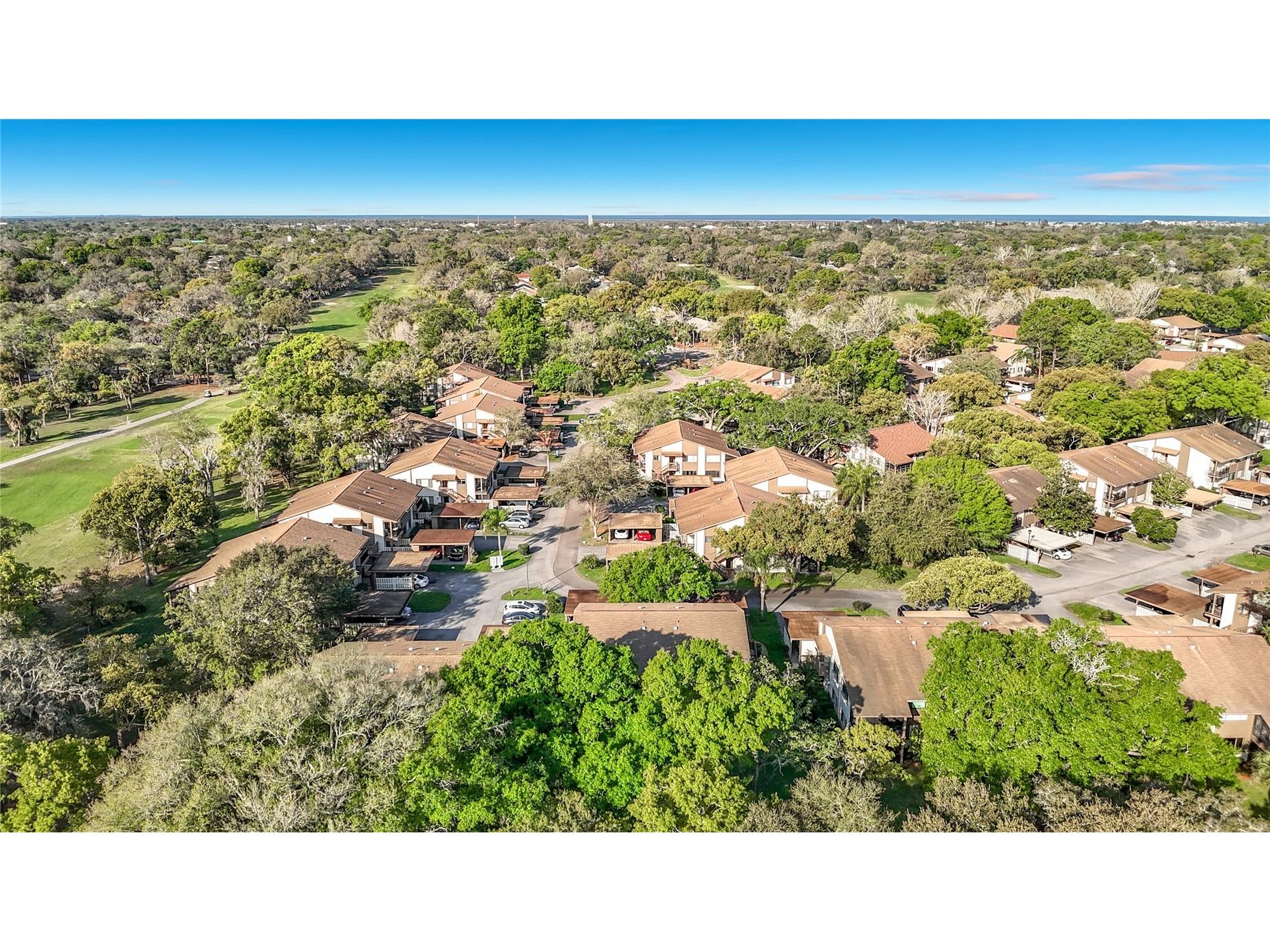 12820 Wedgewood Way #D Hudson FL 34667 TB8488811 image50