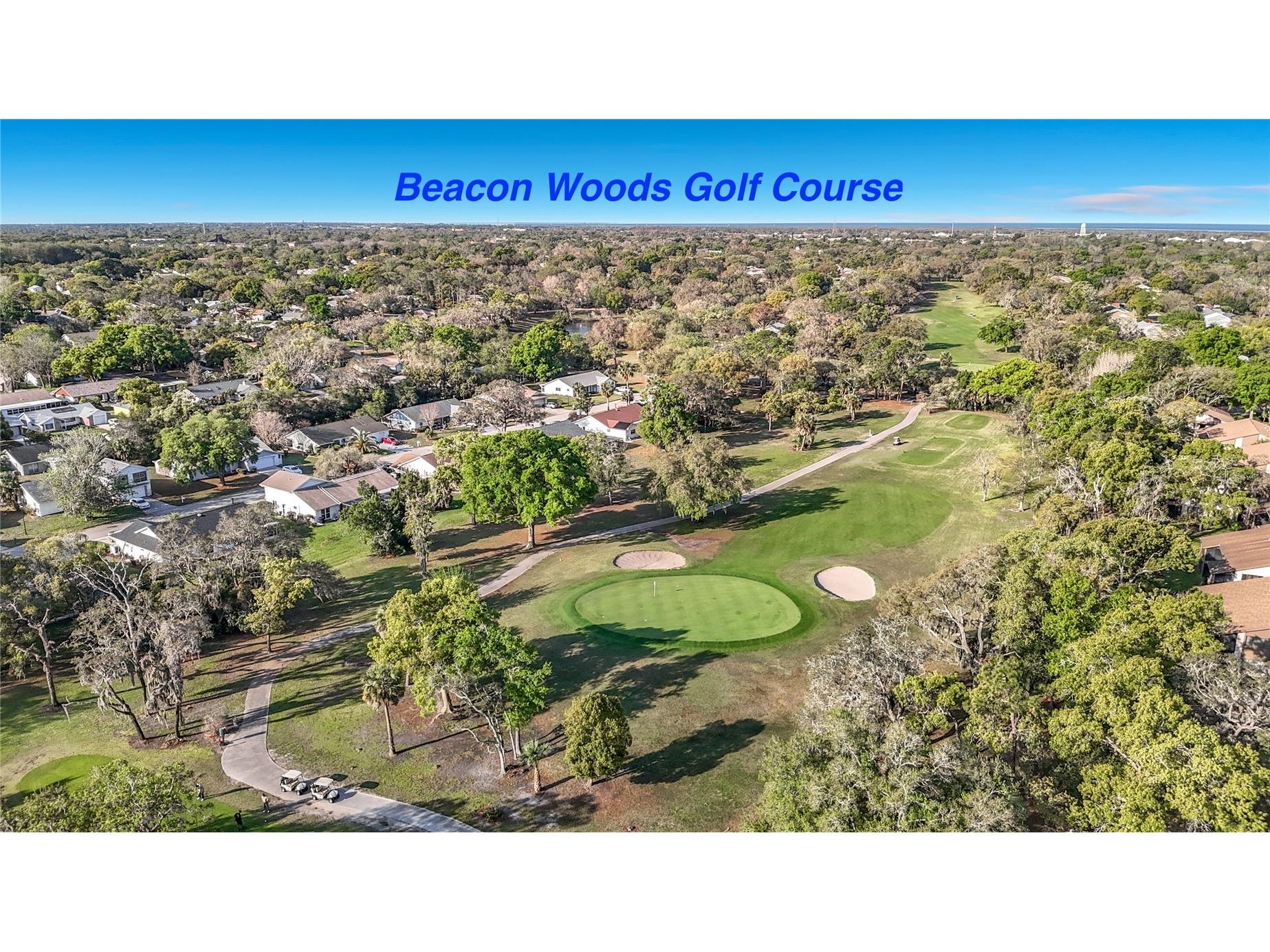 12820 Wedgewood Way #D Hudson FL 34667 TB8488811 image51