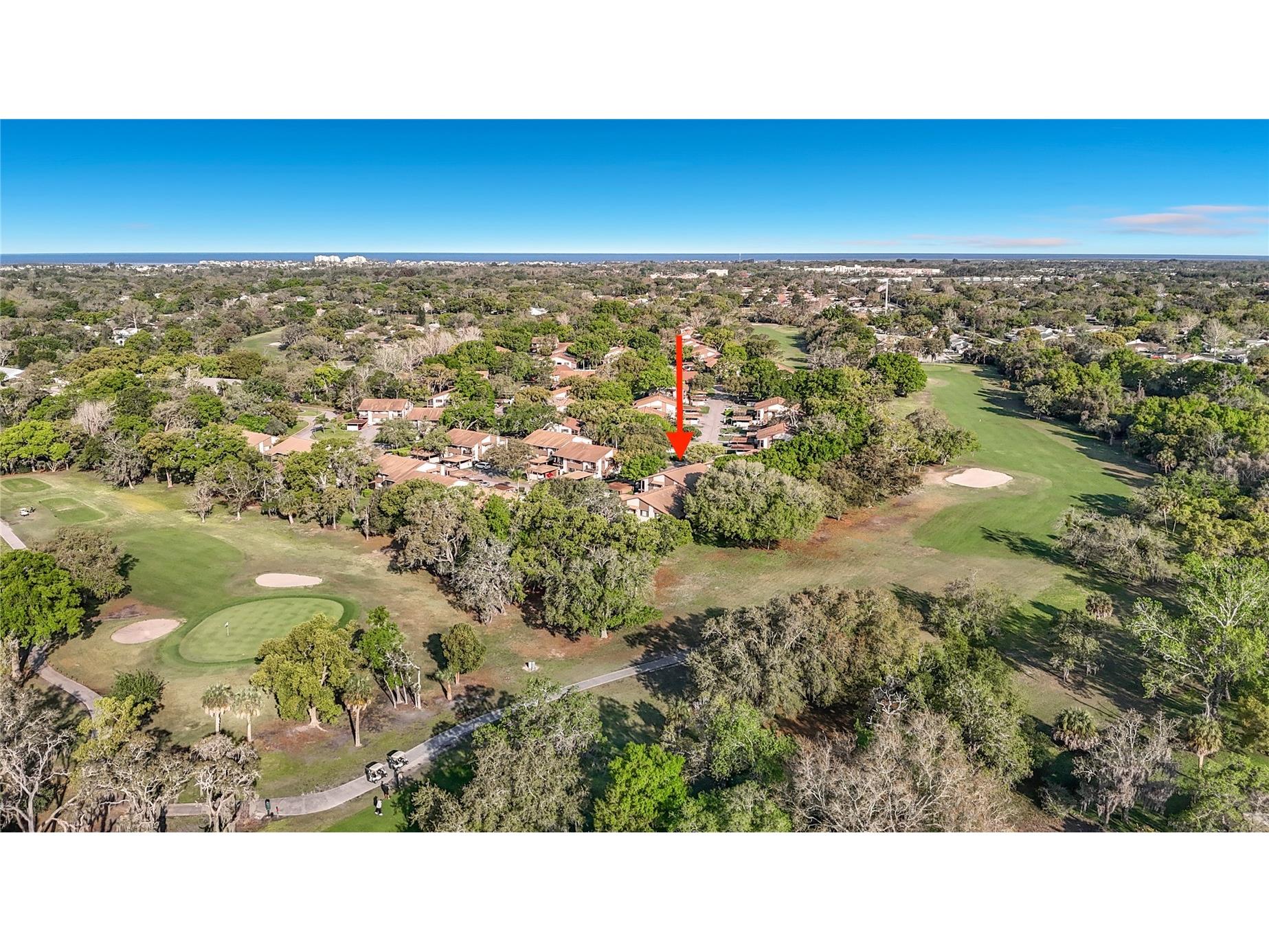 12820 Wedgewood Way #D Hudson FL 34667 TB8488811 image52