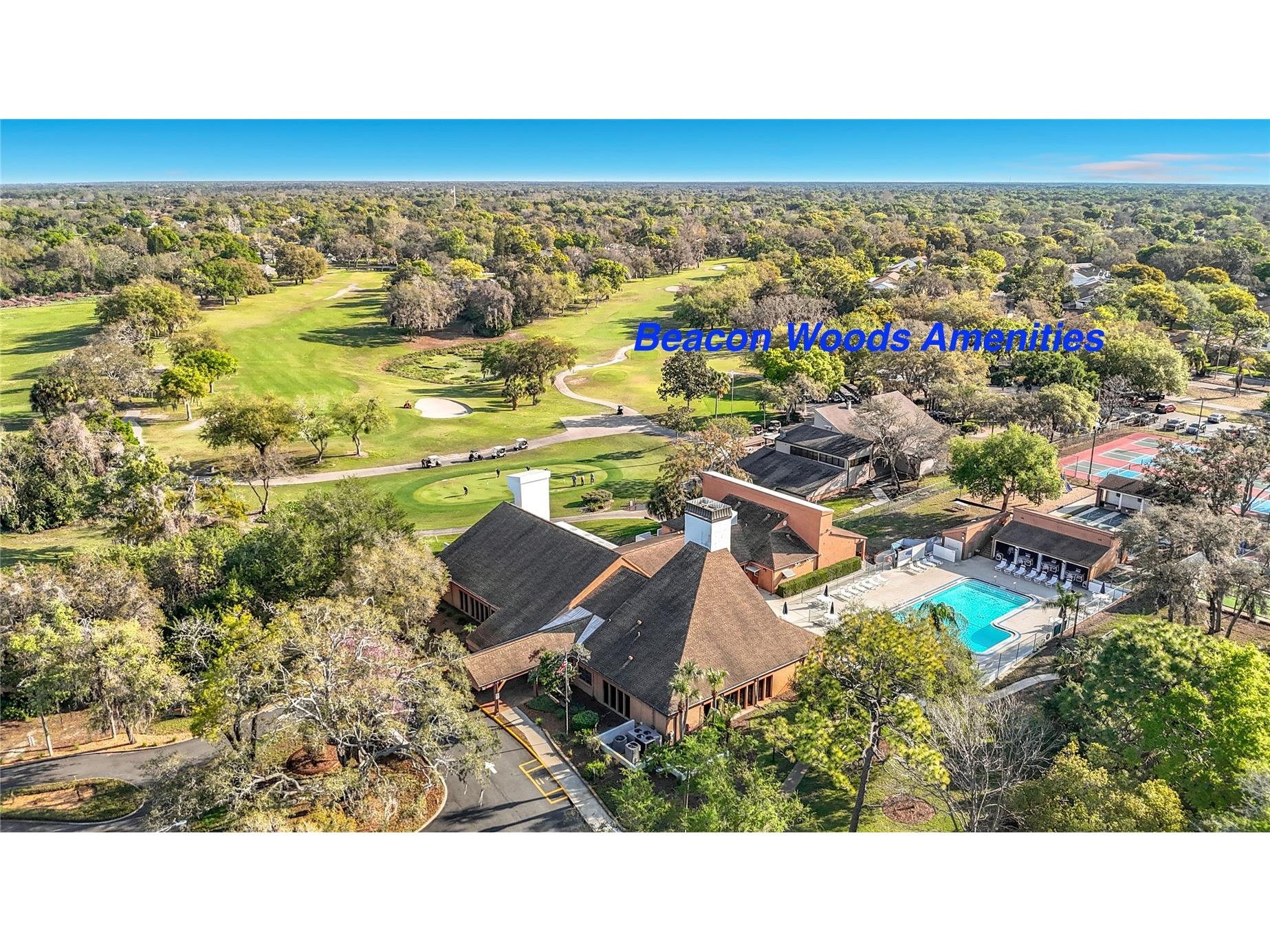 12820 Wedgewood Way #D Hudson FL 34667 TB8488811 image53
