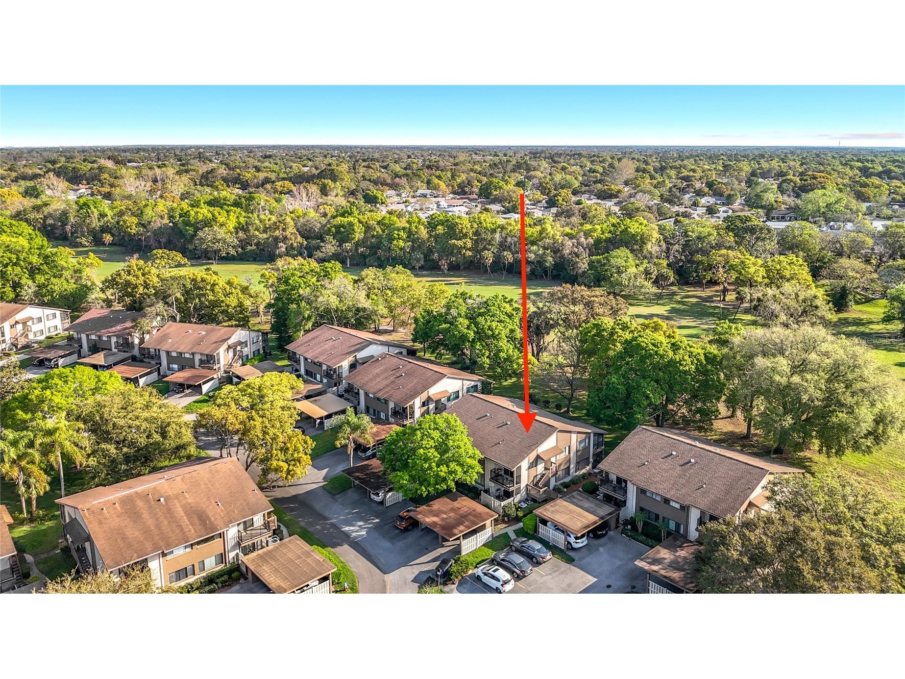 12820 Wedgewood Way #D Hudson FL 34667 TB8488811 image69