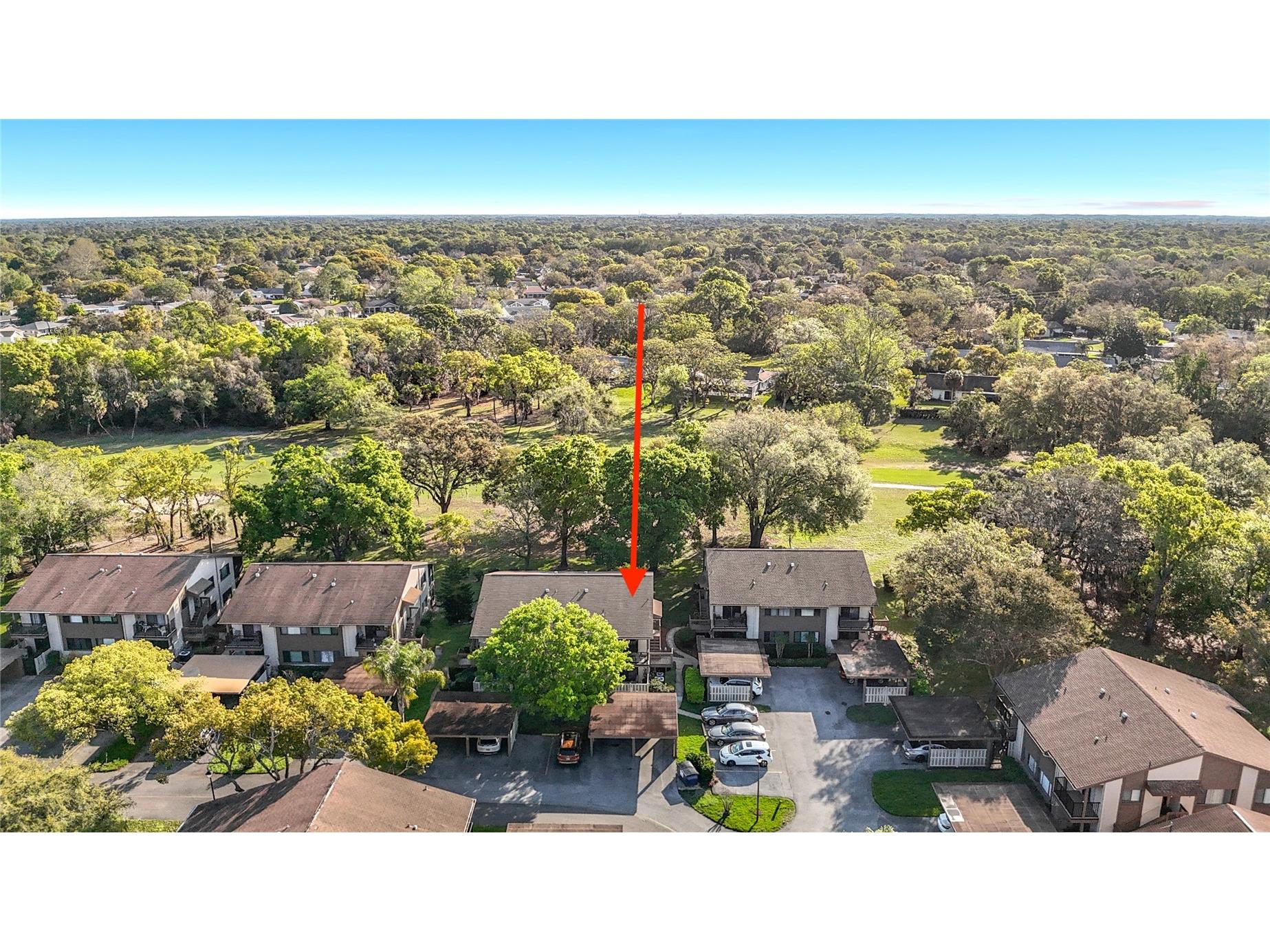 12820 Wedgewood Way #D Hudson FL 34667 TB8488811 image70