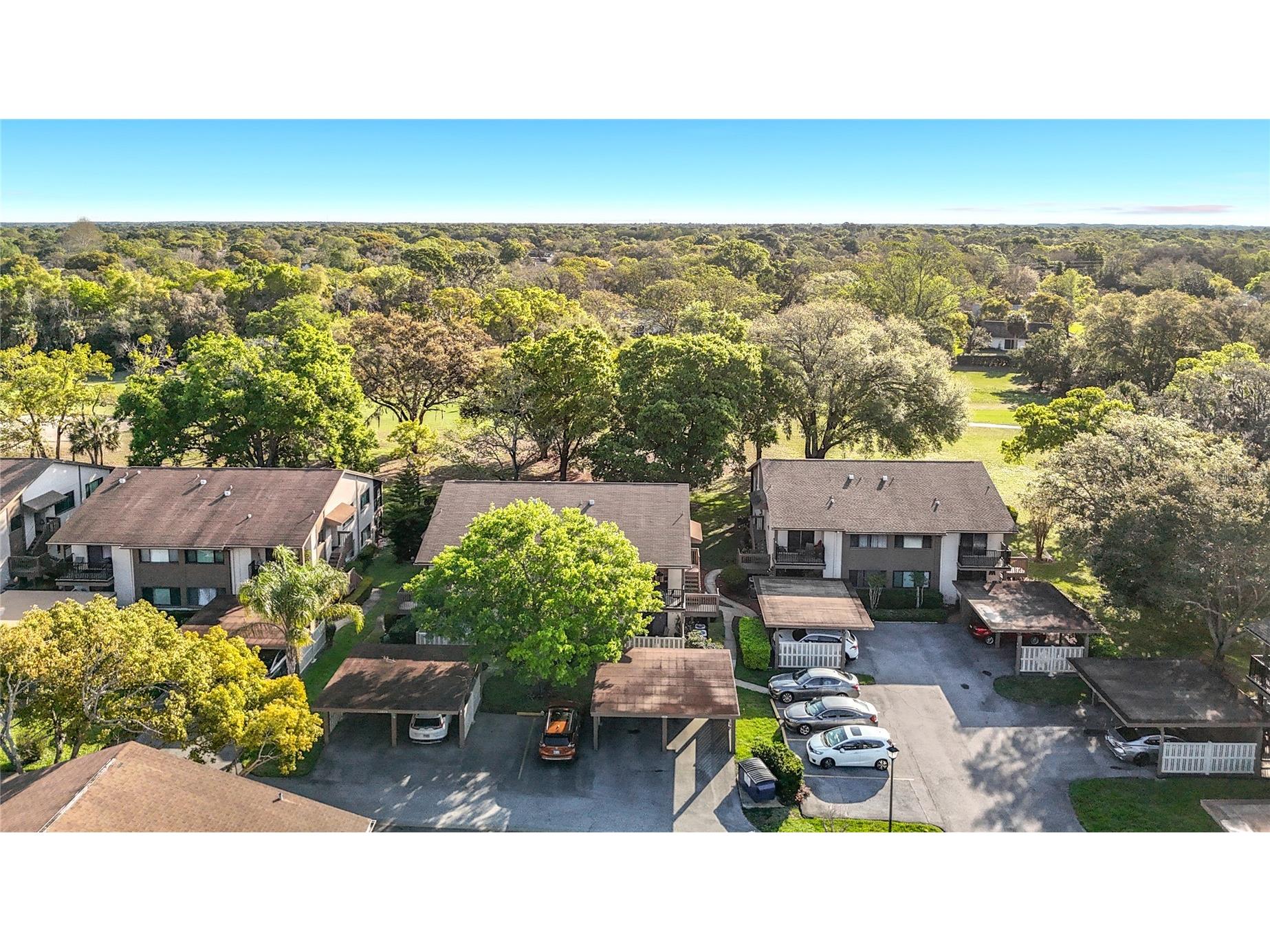 12820 Wedgewood Way #D Hudson FL 34667 TB8488811 image71