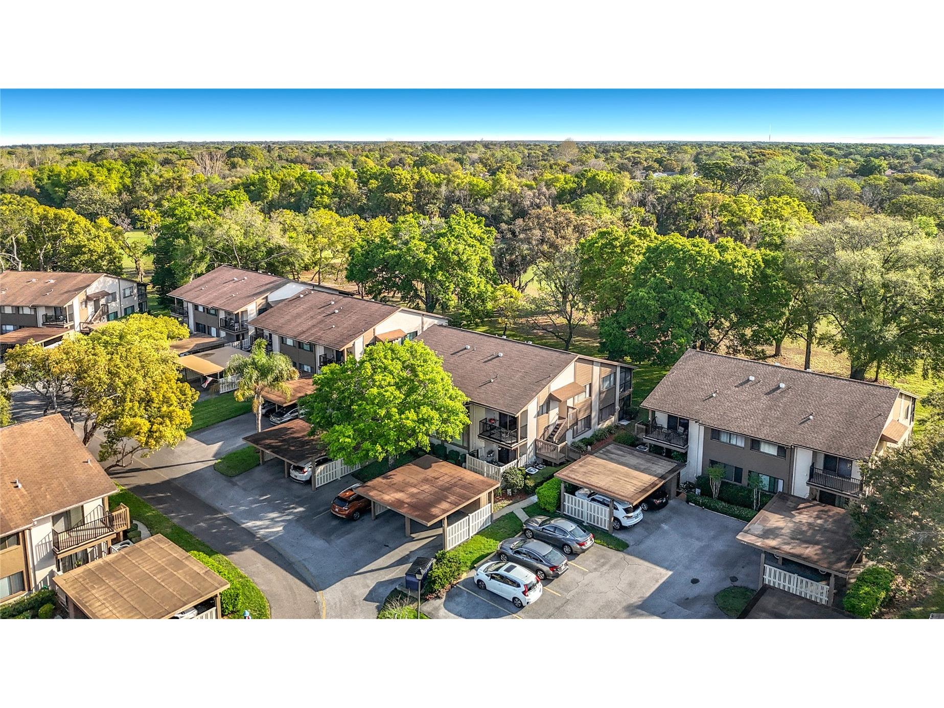 12820 Wedgewood Way #D Hudson FL 34667 TB8488811 image72