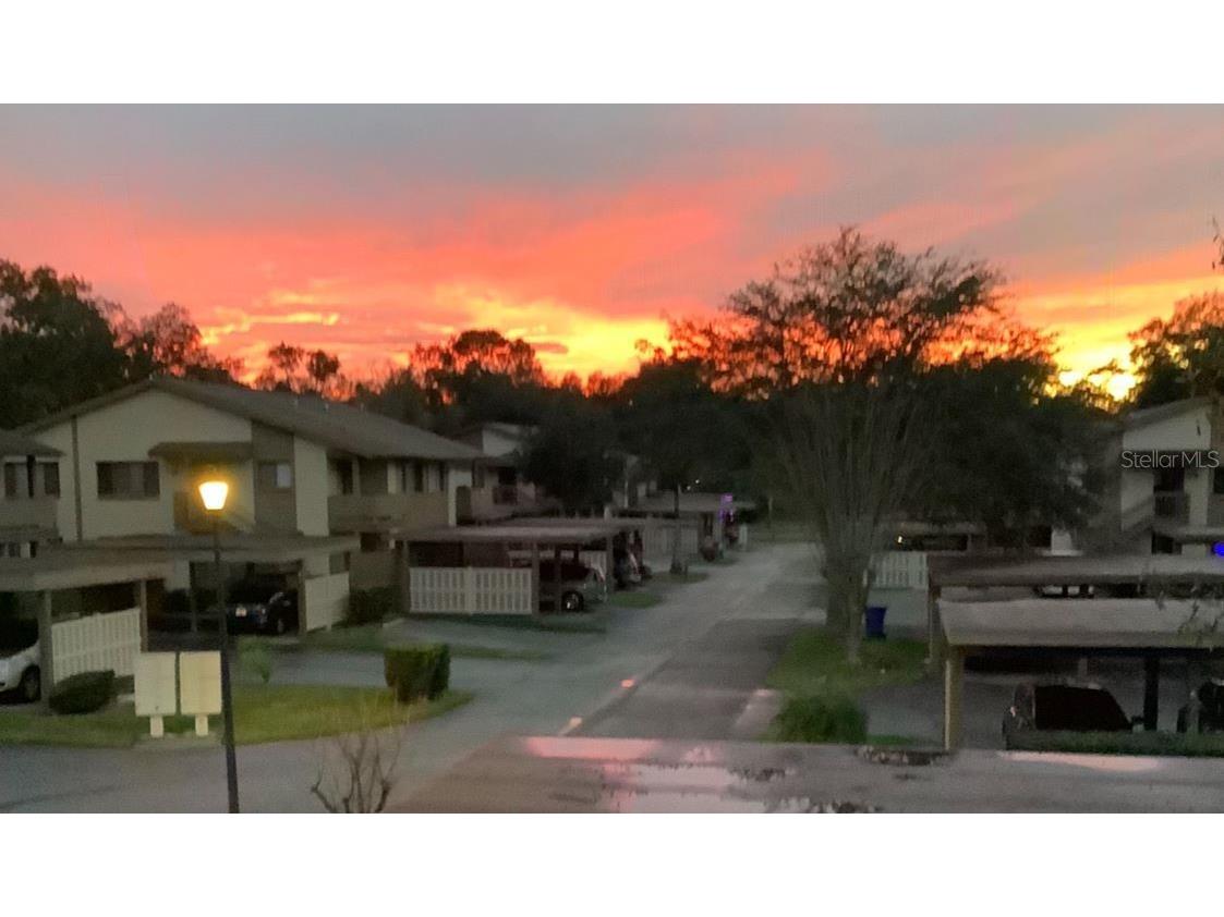 12820 Wedgewood Way #D Hudson FL 34667 W7873860 image25