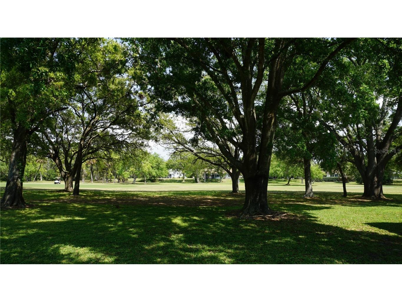 12820 Wedgewood Way #D Hudson FL 34667 W7873860 image36