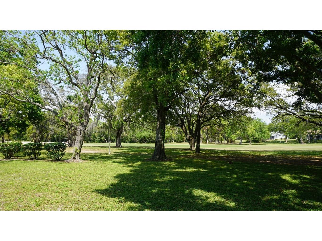 12820 Wedgewood Way #D Hudson FL 34667 W7873860 image37