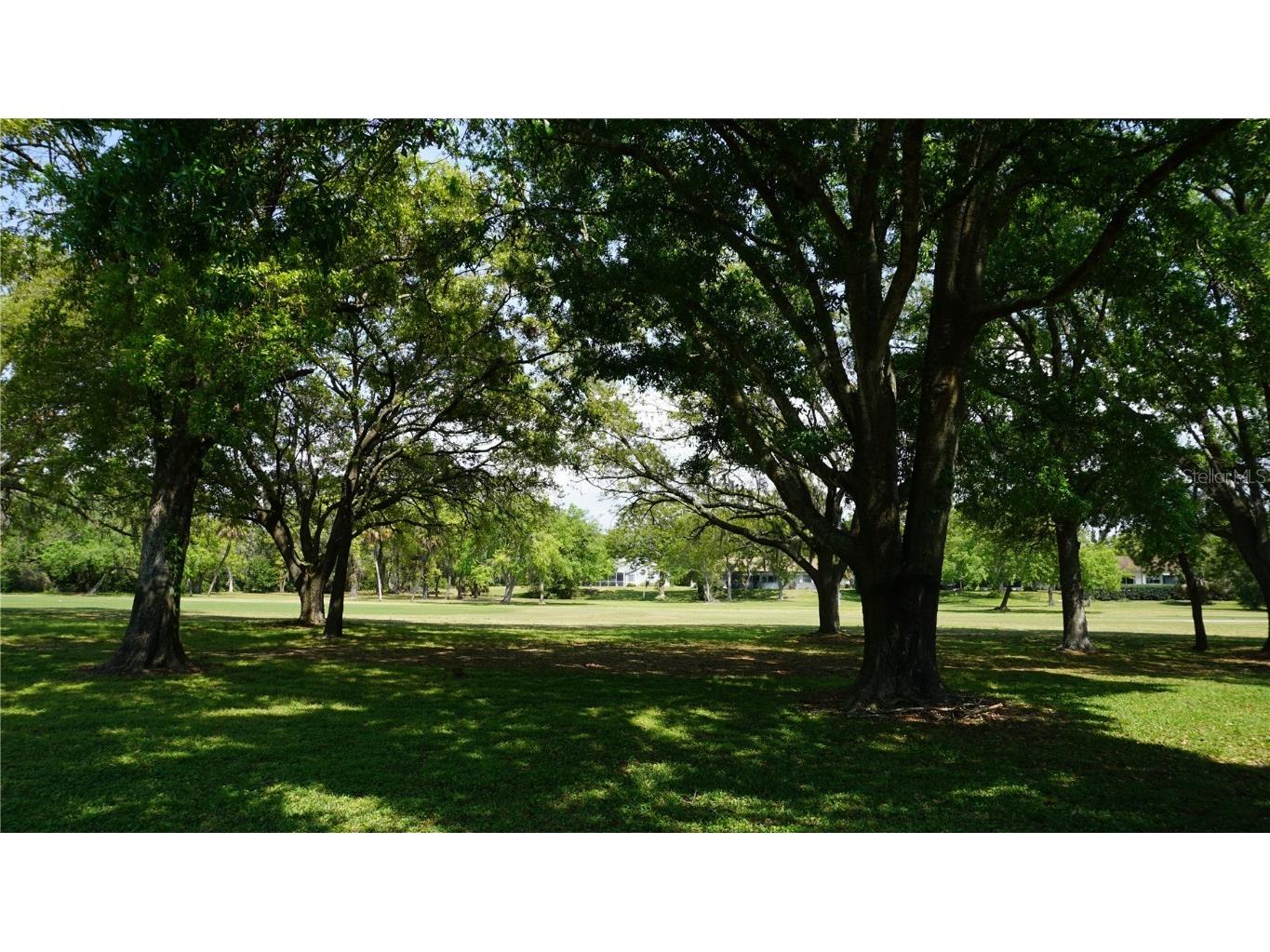 12820 Wedgewood Way #D Hudson FL 34667 W7873860 image38