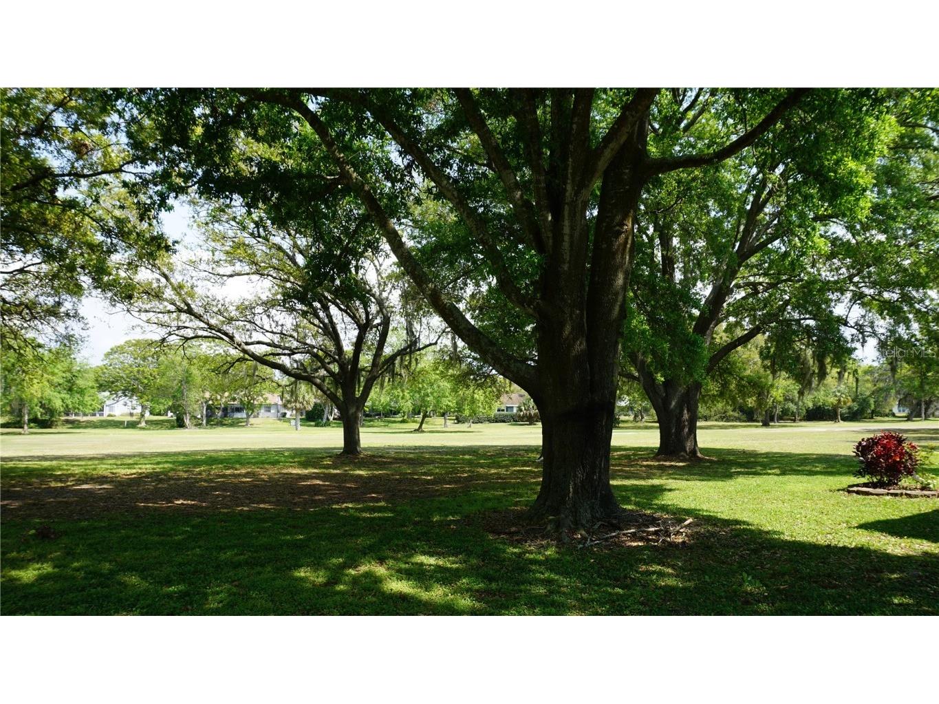 12820 Wedgewood Way #D Hudson FL 34667 W7873860 image39