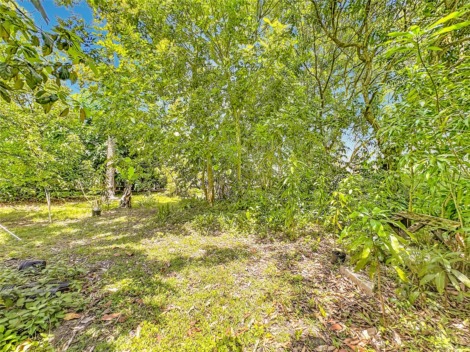 12821 86th Road N West Palm Beach FL 33412 TB8502860 image48