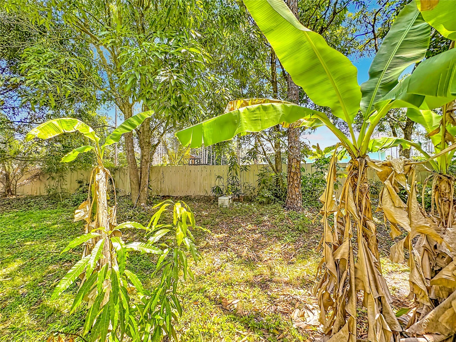 12821 86th Road N West Palm Beach FL 33412 TB8502860 image49