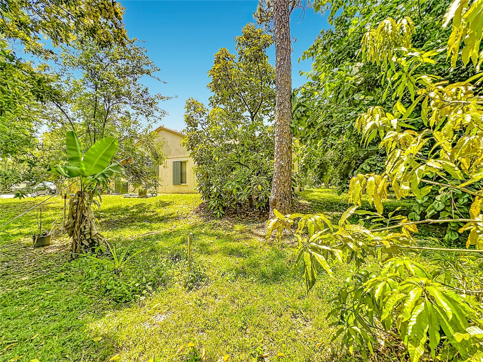 12821 86th Road N West Palm Beach FL 33412 TB8502860 image50