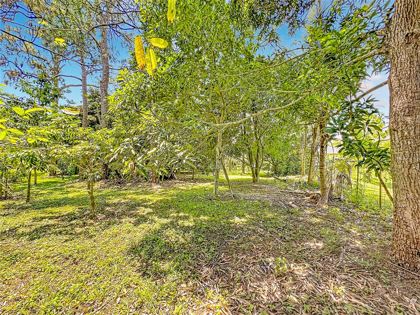12821 86th Road N West Palm Beach FL 33412 TB8502860 image51