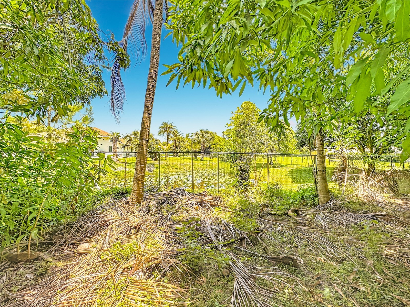 12821 86th Road N West Palm Beach FL 33412 TB8502860 image53