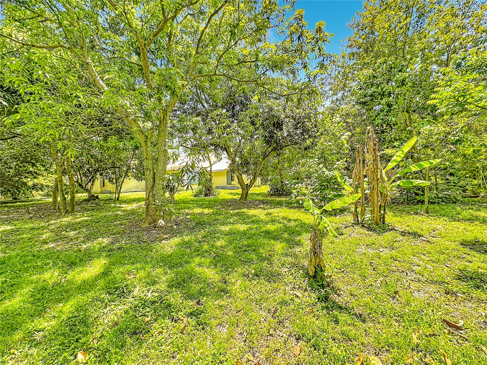 12821 86th Road N West Palm Beach FL 33412 TB8502860 image54