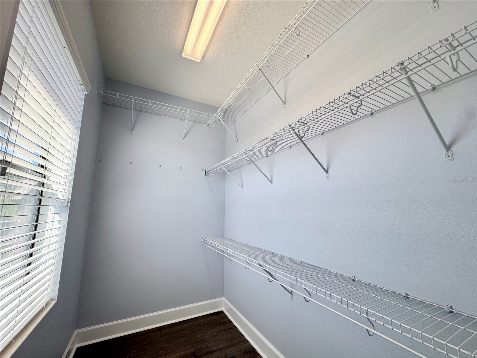 12822 Del Corso Loop Bradenton FL 34211 A4683334 image43