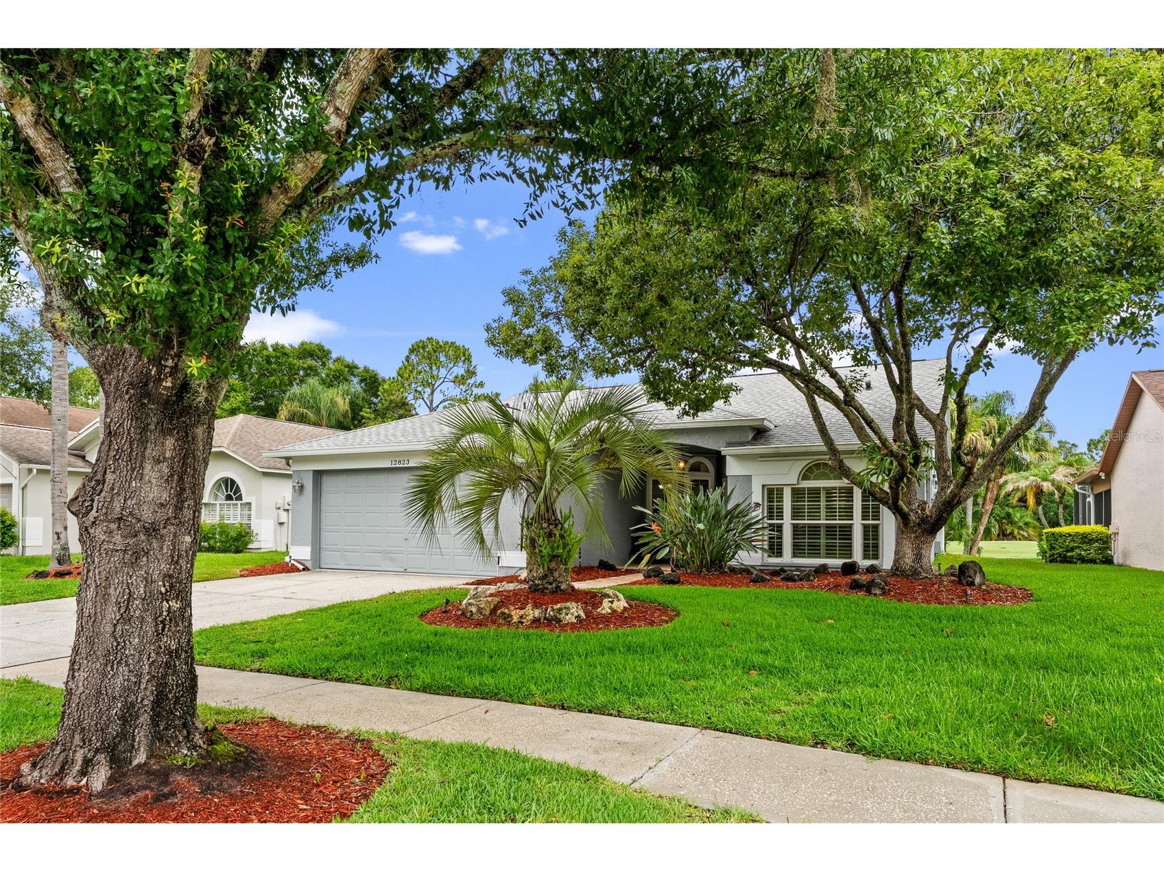 12823 Royal George Avenue Odessa FL 33556 TB8509128 image1
