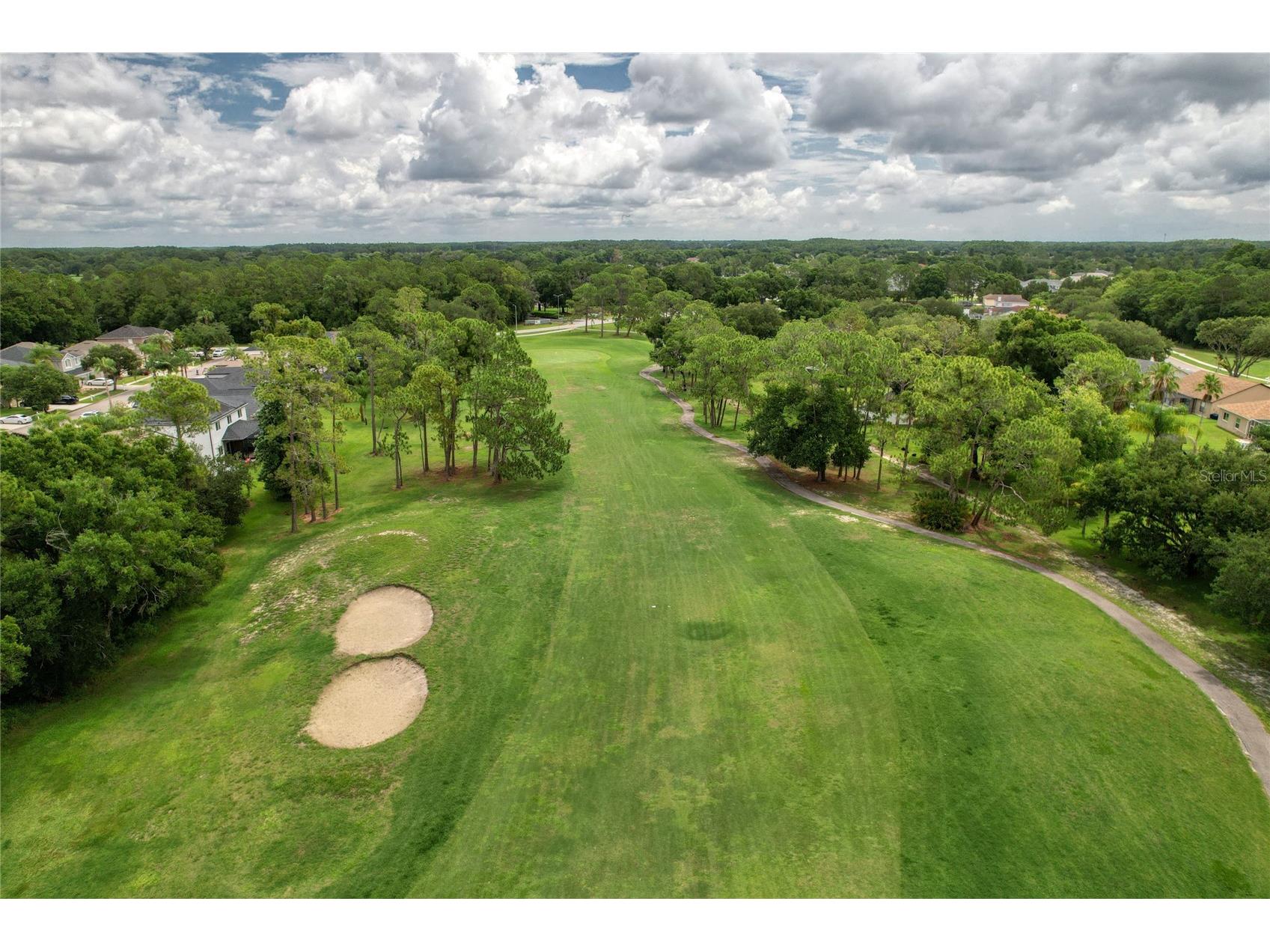 12823 Royal George Avenue Odessa FL 33556 TB8509128 image26
