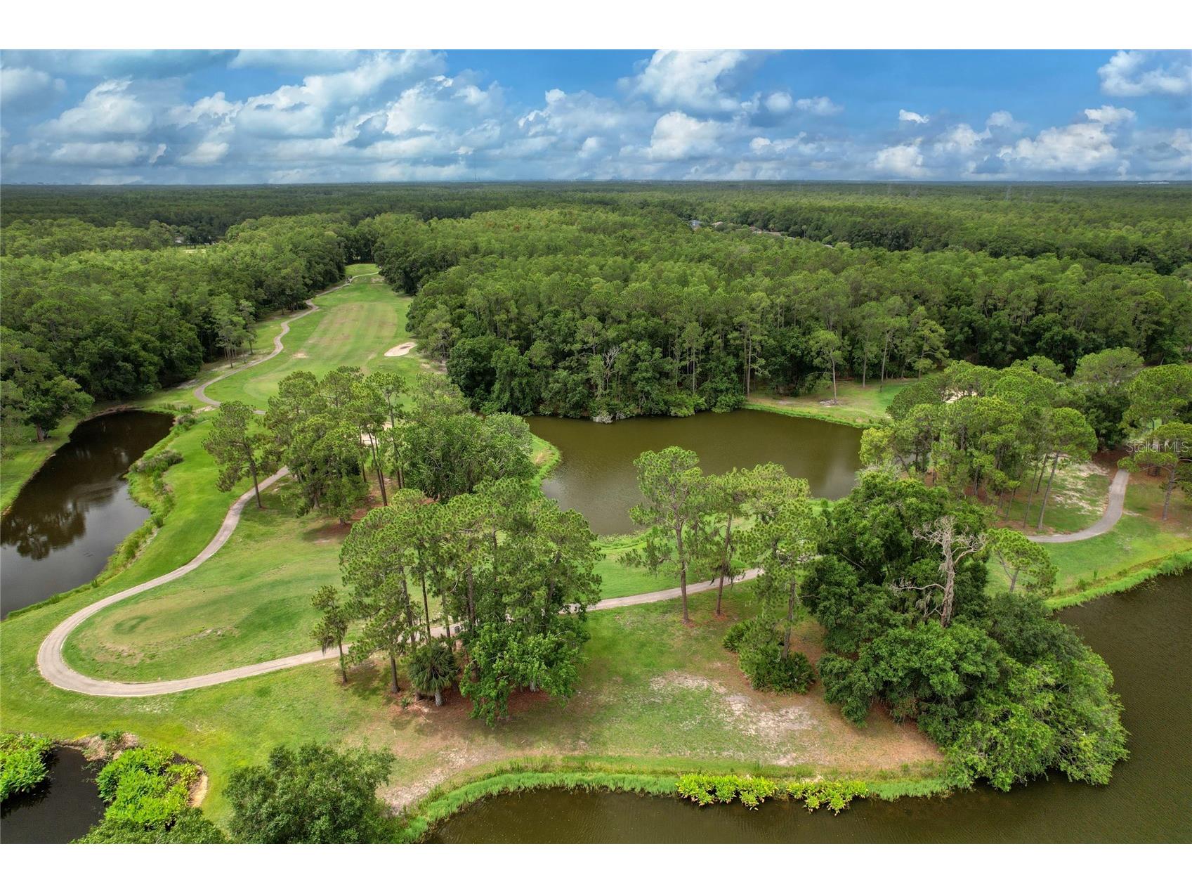 12823 Royal George Avenue Odessa FL 33556 TB8509128 image29