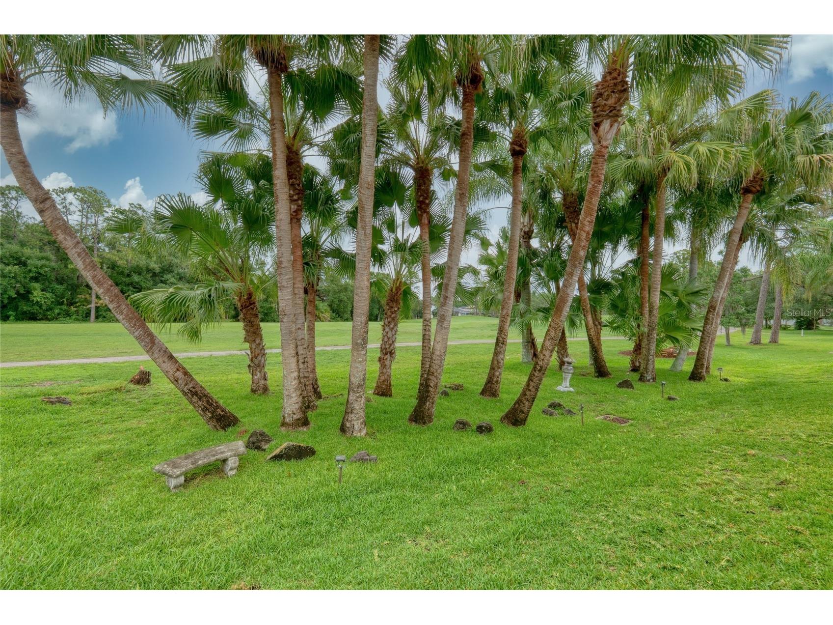 12823 Royal George Avenue Odessa FL 33556 TB8509128 image4