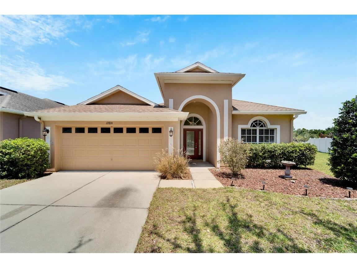12824 Hampton Hill Drive Riverview FL 33578 T3444084 image1