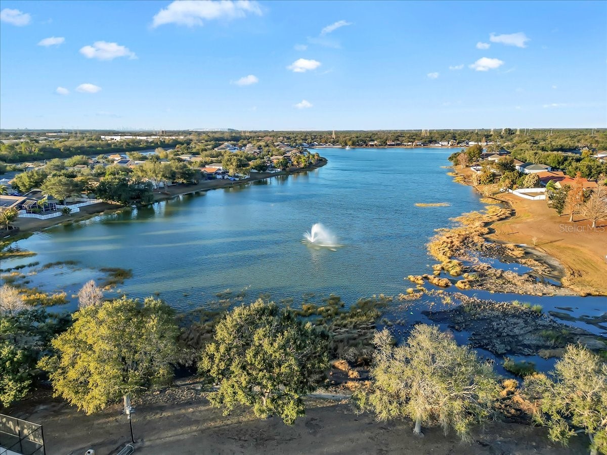 12824 Kings Lake Drive Gibsonton FL 33534 TB8473901 image27