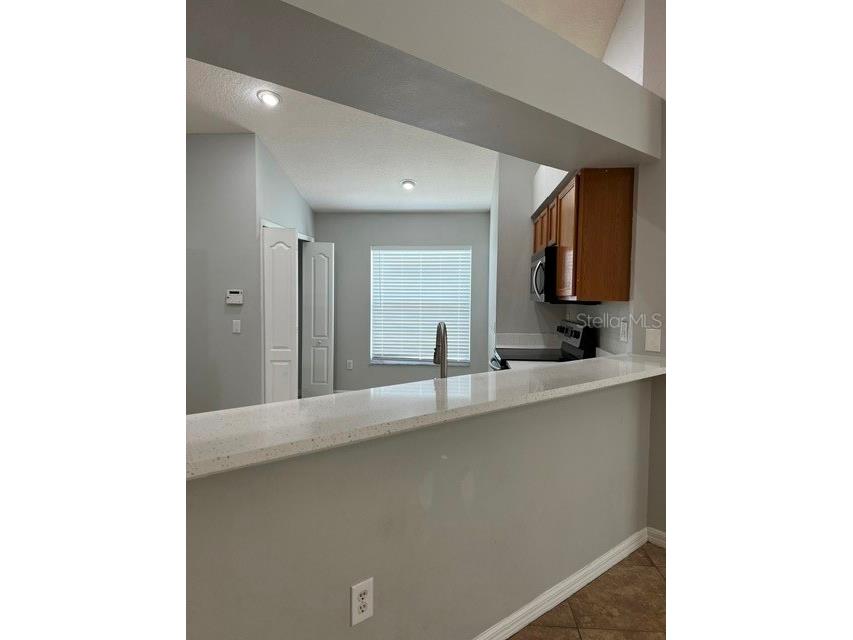 12824 Kings Lake Drive Gibsonton FL 33534 TB8516943 image14