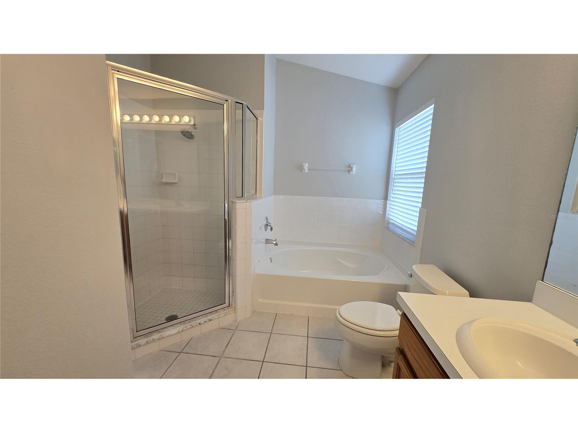 12824 Kings Lake Drive Gibsonton FL 33534 TB8516943 image28