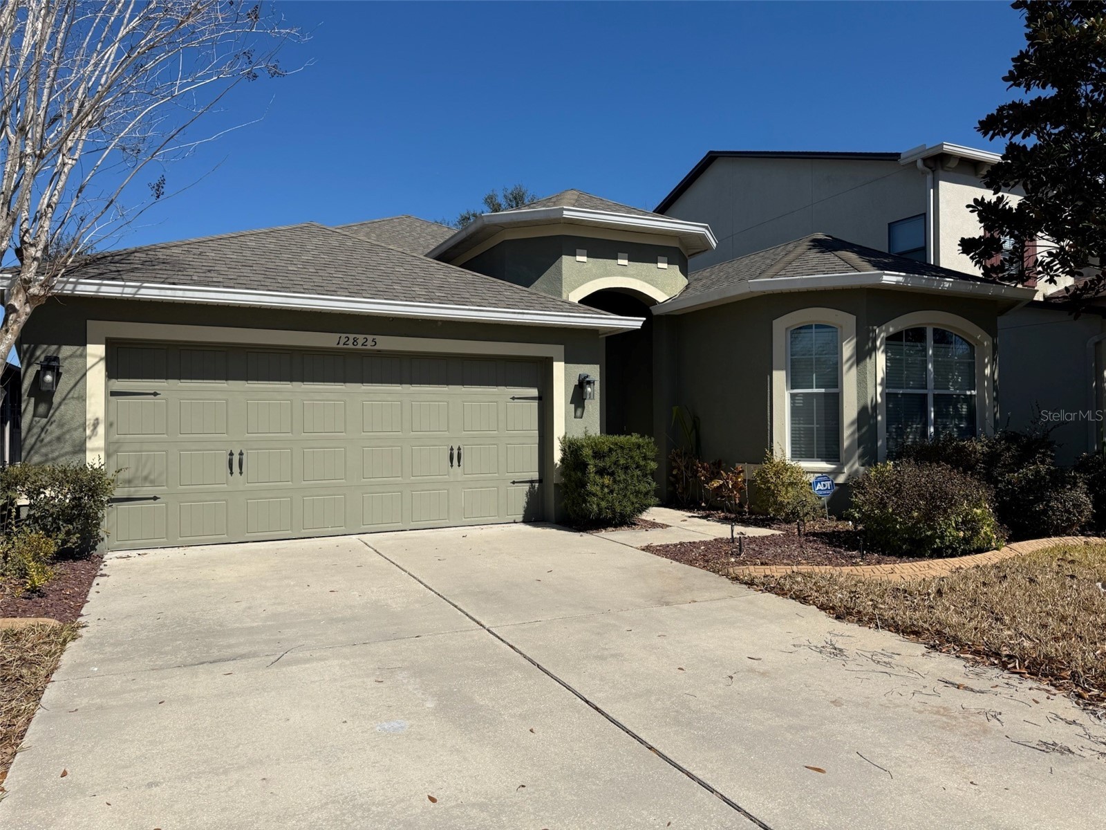 12825 Tikal Way Trinity FL 34655 O6380881 image2
