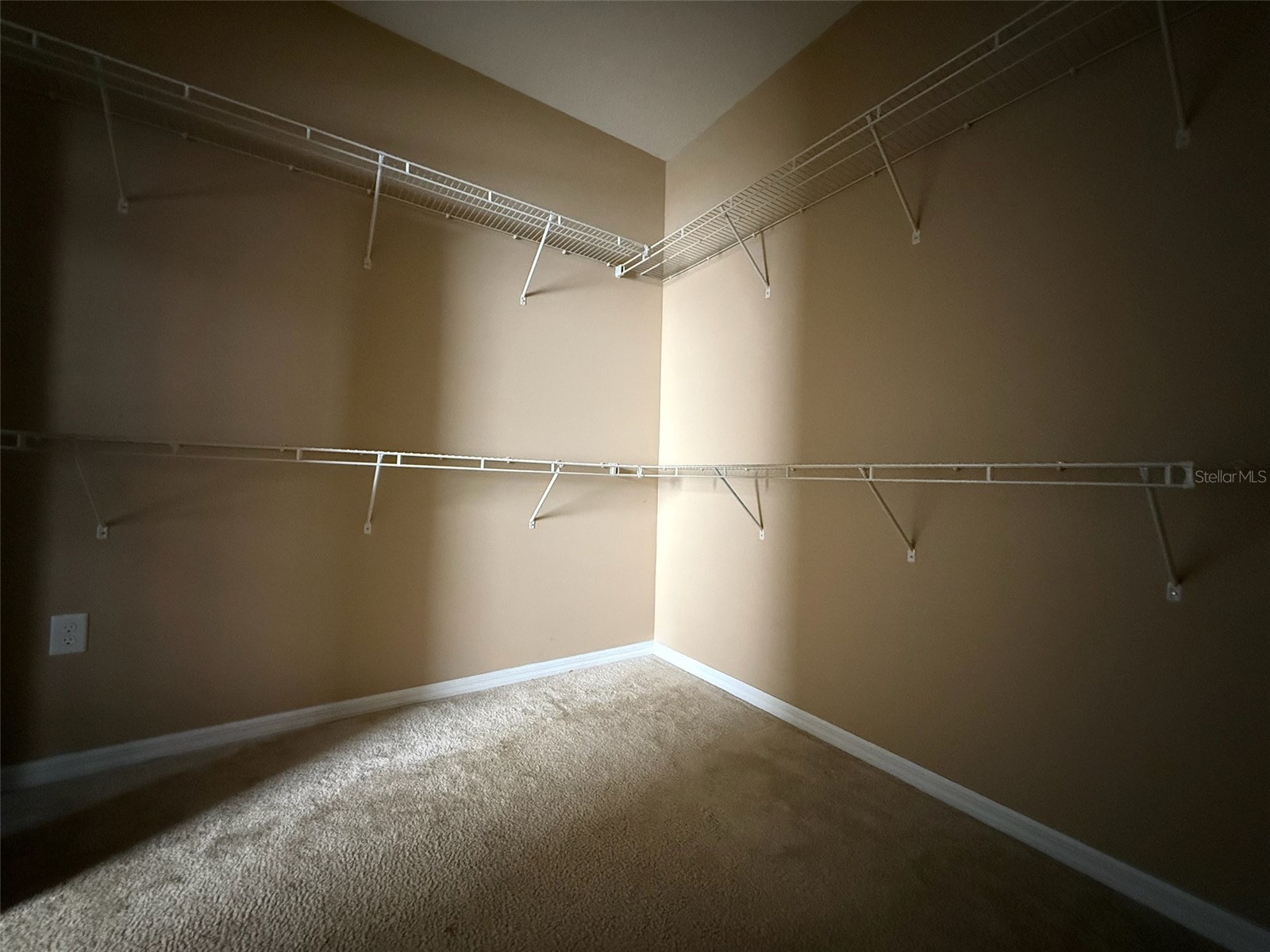 12825 Tikal Way Trinity FL 34655 O6380881 image51
