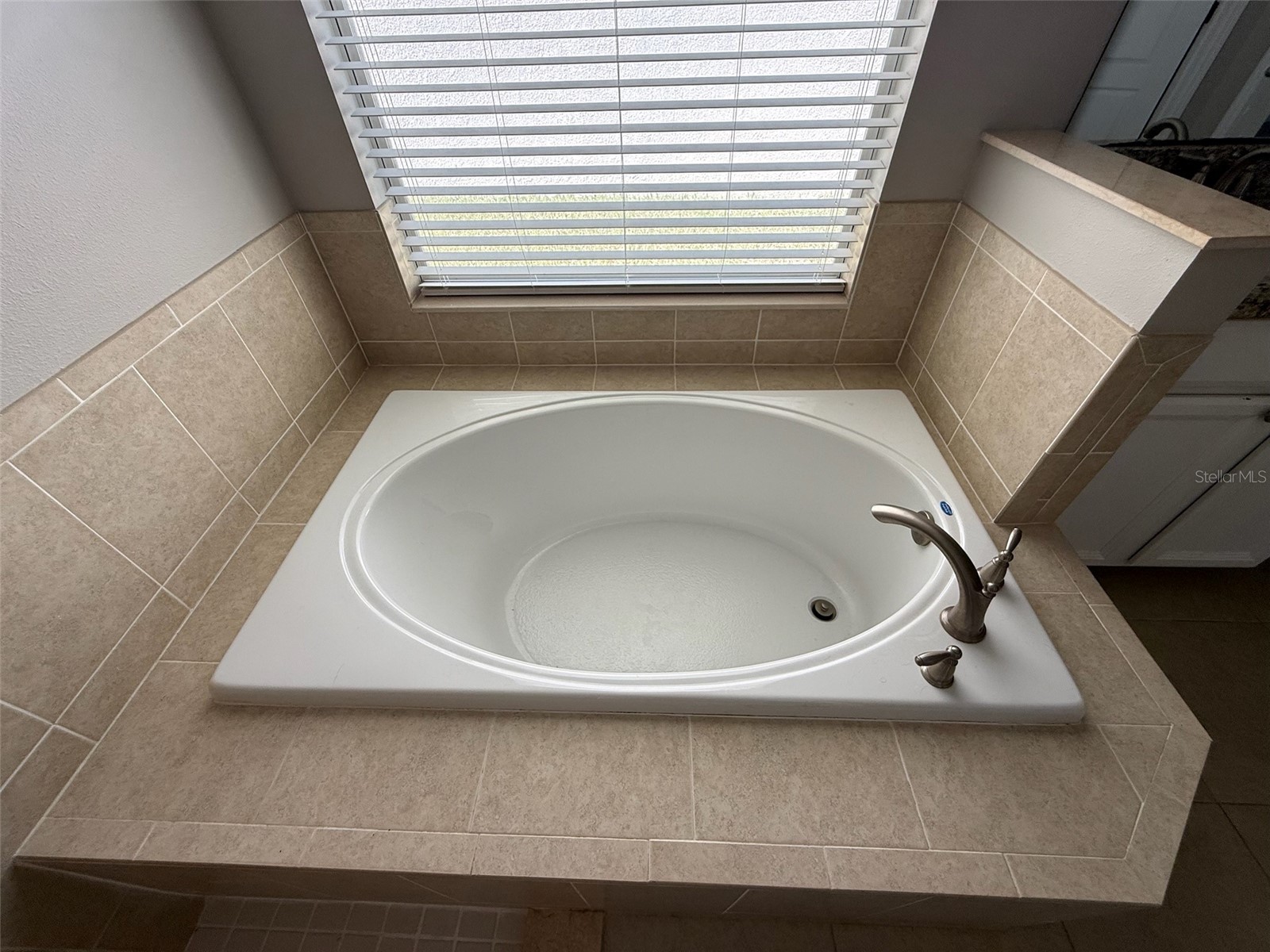 12825 Tikal Way Trinity FL 34655 O6380881 image52