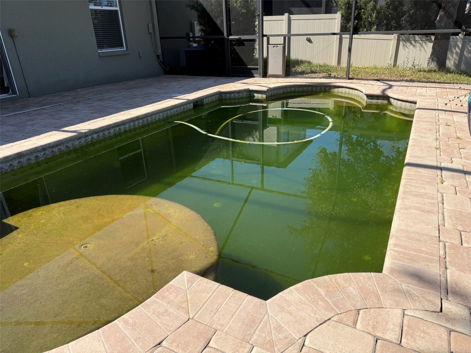 12825 Tikal Way Trinity FL 34655 O6380881 image58