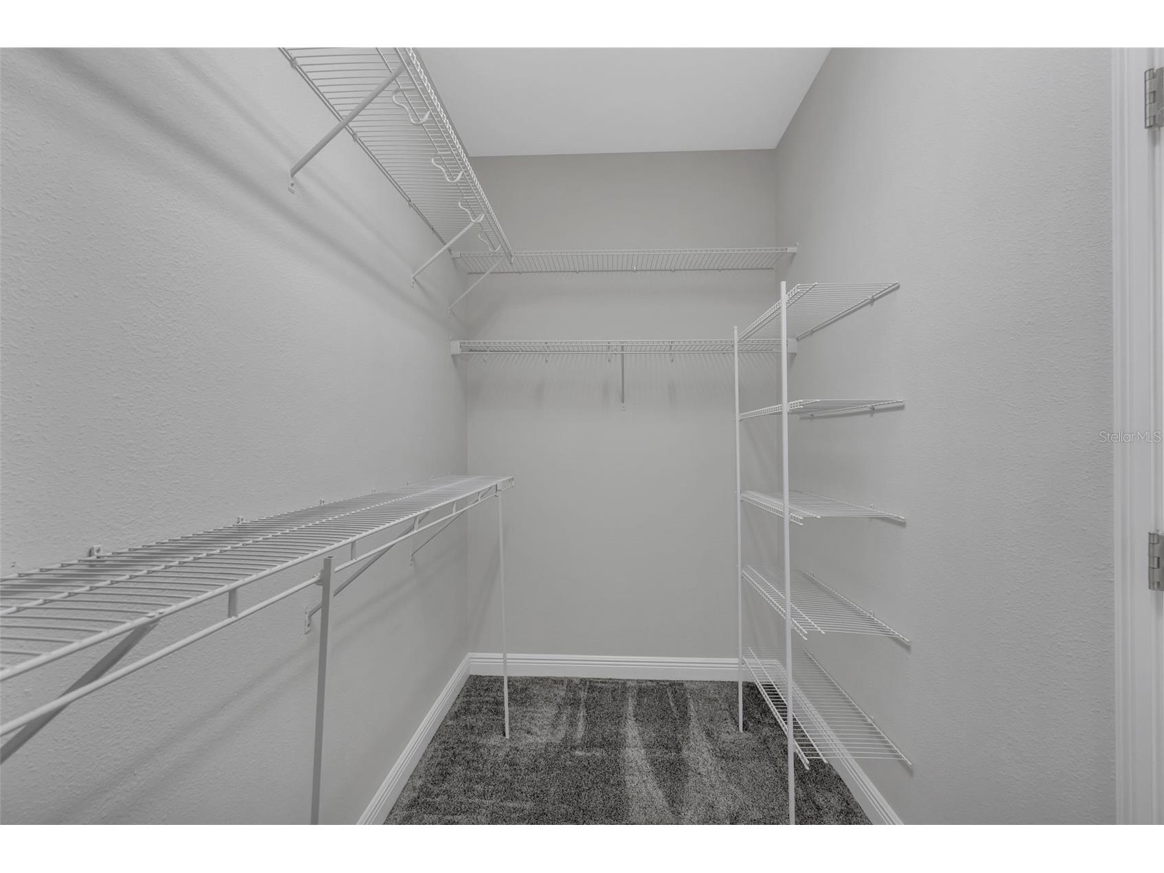12826 Woodmere Close Dr Windermere FL 34786 O6412588 image23