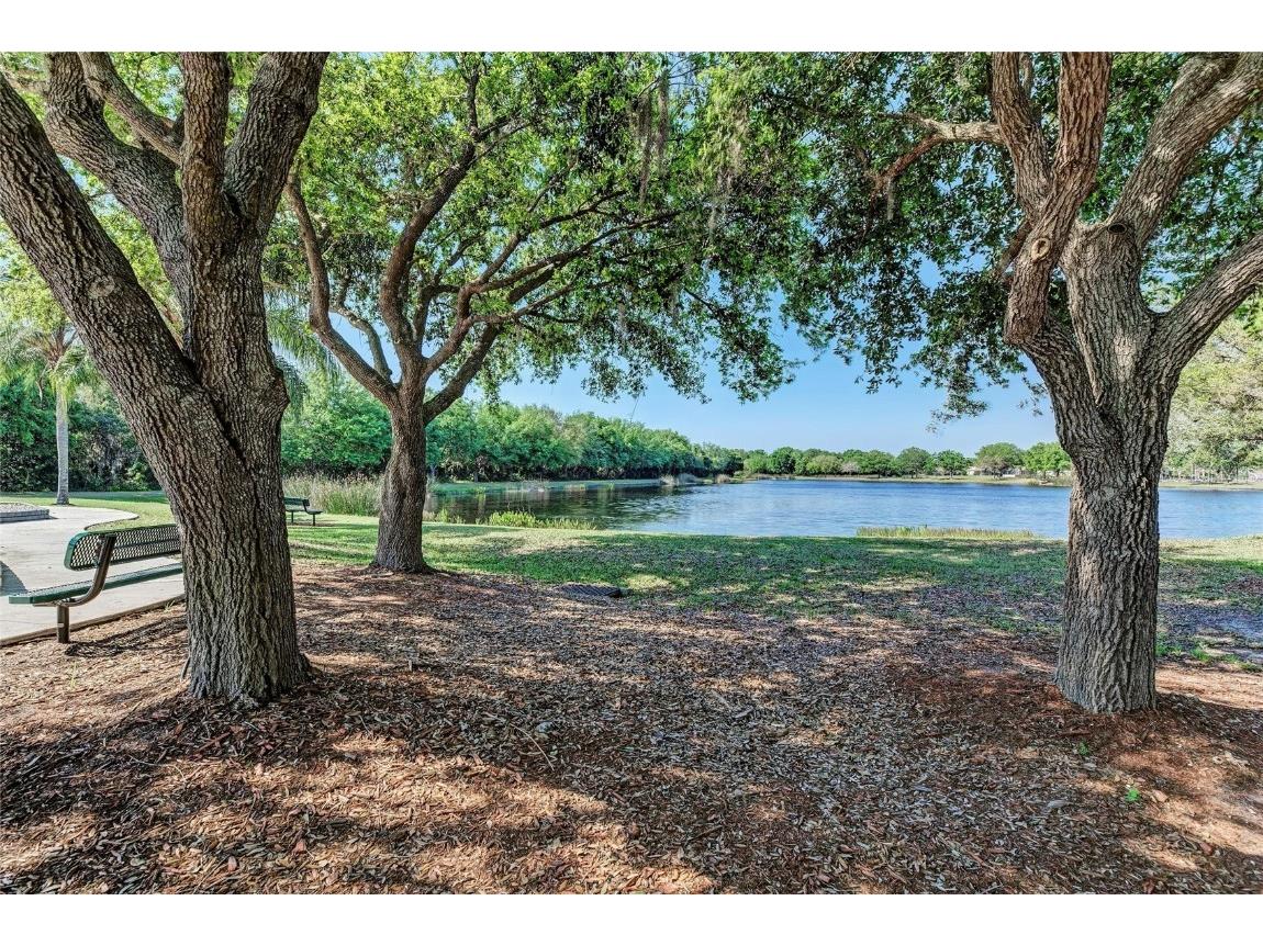 12827 Penguin Drive Bradenton FL 34212 TB8441925 image60