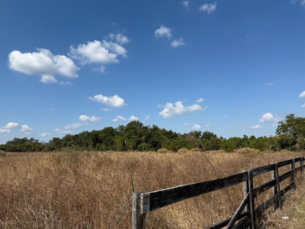 12828 Fort King Highway Thonotosassa FL 33592 TB8401649 image2