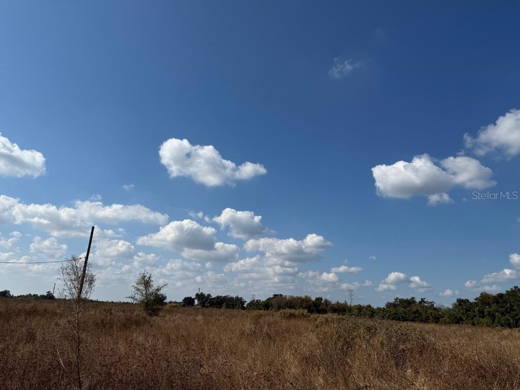 12828 Fort King Highway Thonotosassa FL 33592 TB8401649 image4