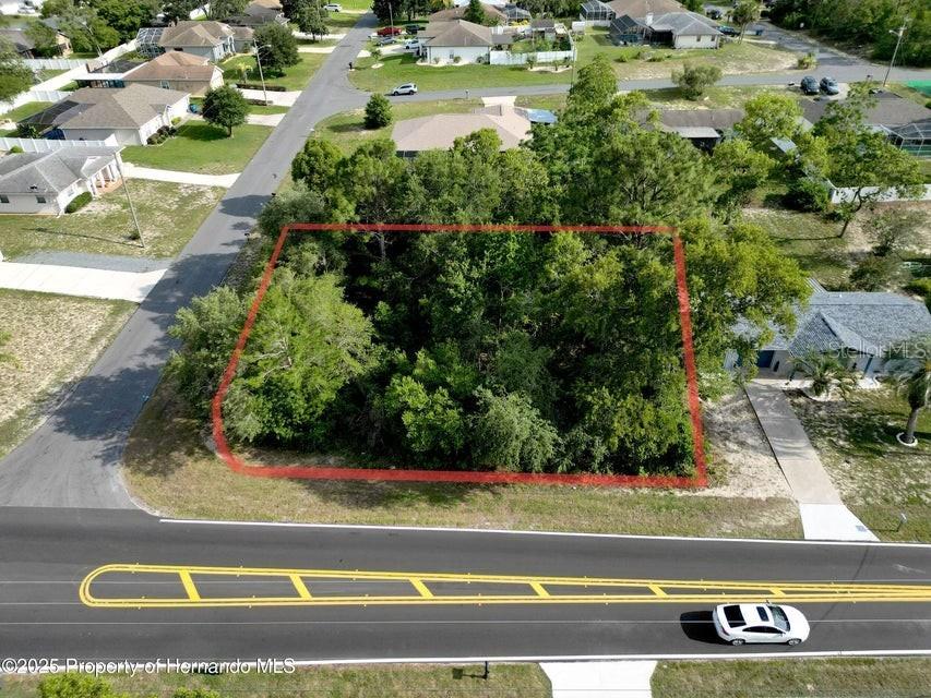 12828 Linden Drive Spring Hill FL 34609 W7876036 image1