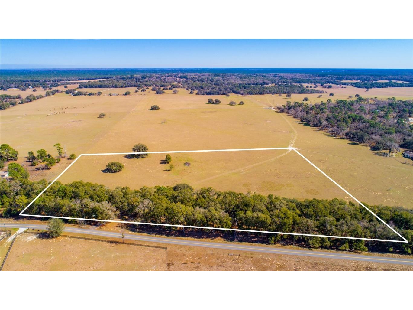 12829 S Old Jones Road Floral City FL 34436 U8188942 image1