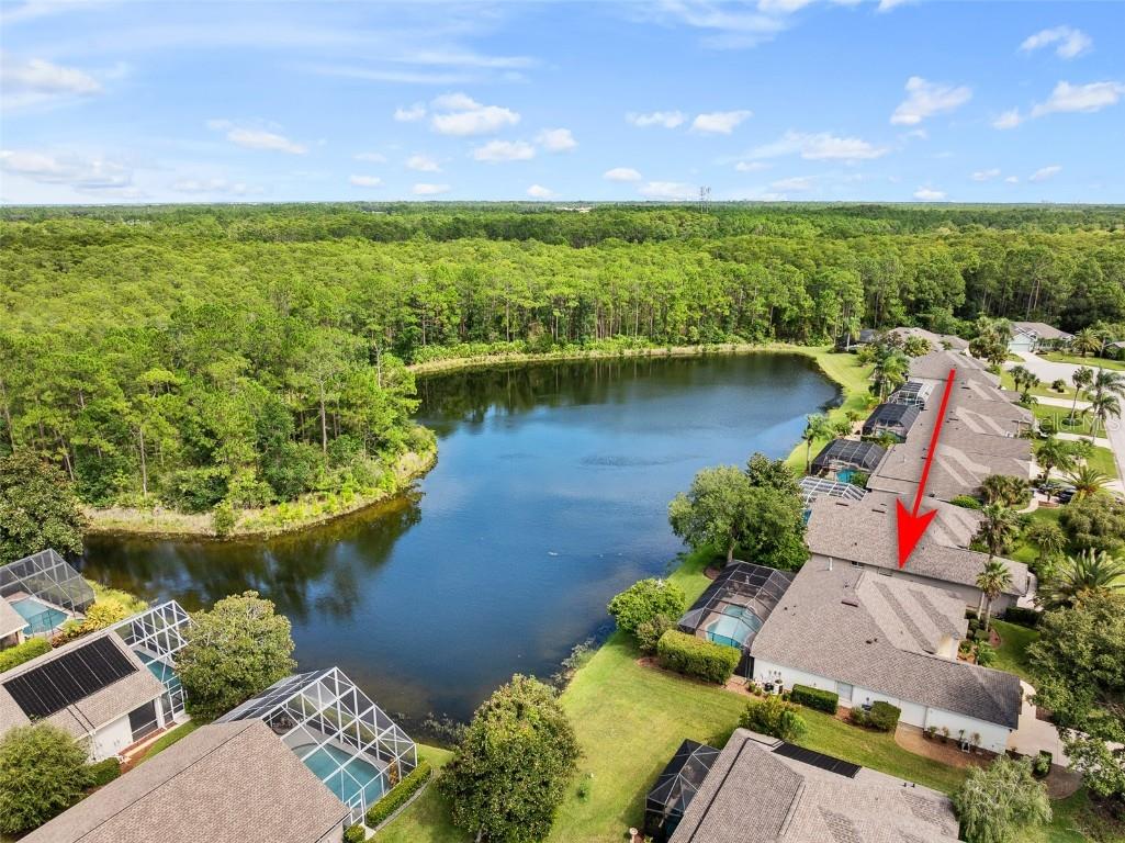 1283 Royal Pointe Lane Ormond Beach FL 32174 FC312406 image51