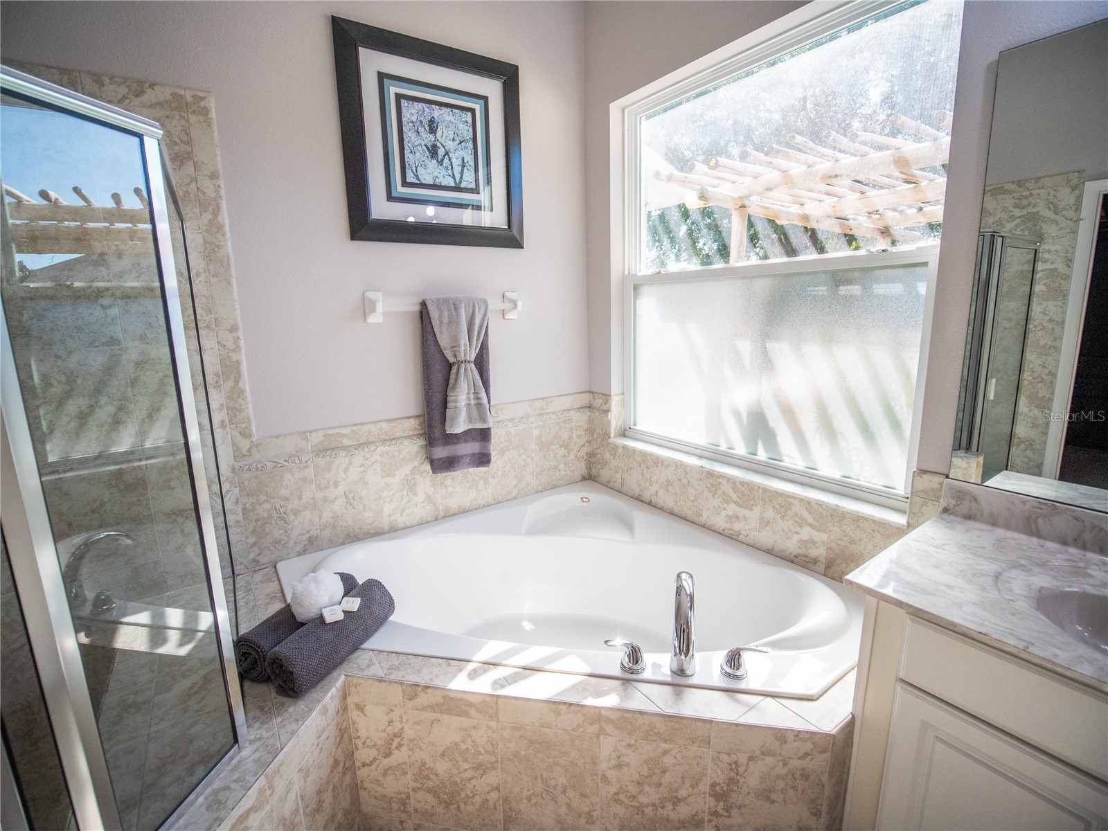 12831 Colonnade Circle Clermont FL 34711 O6379668 image20