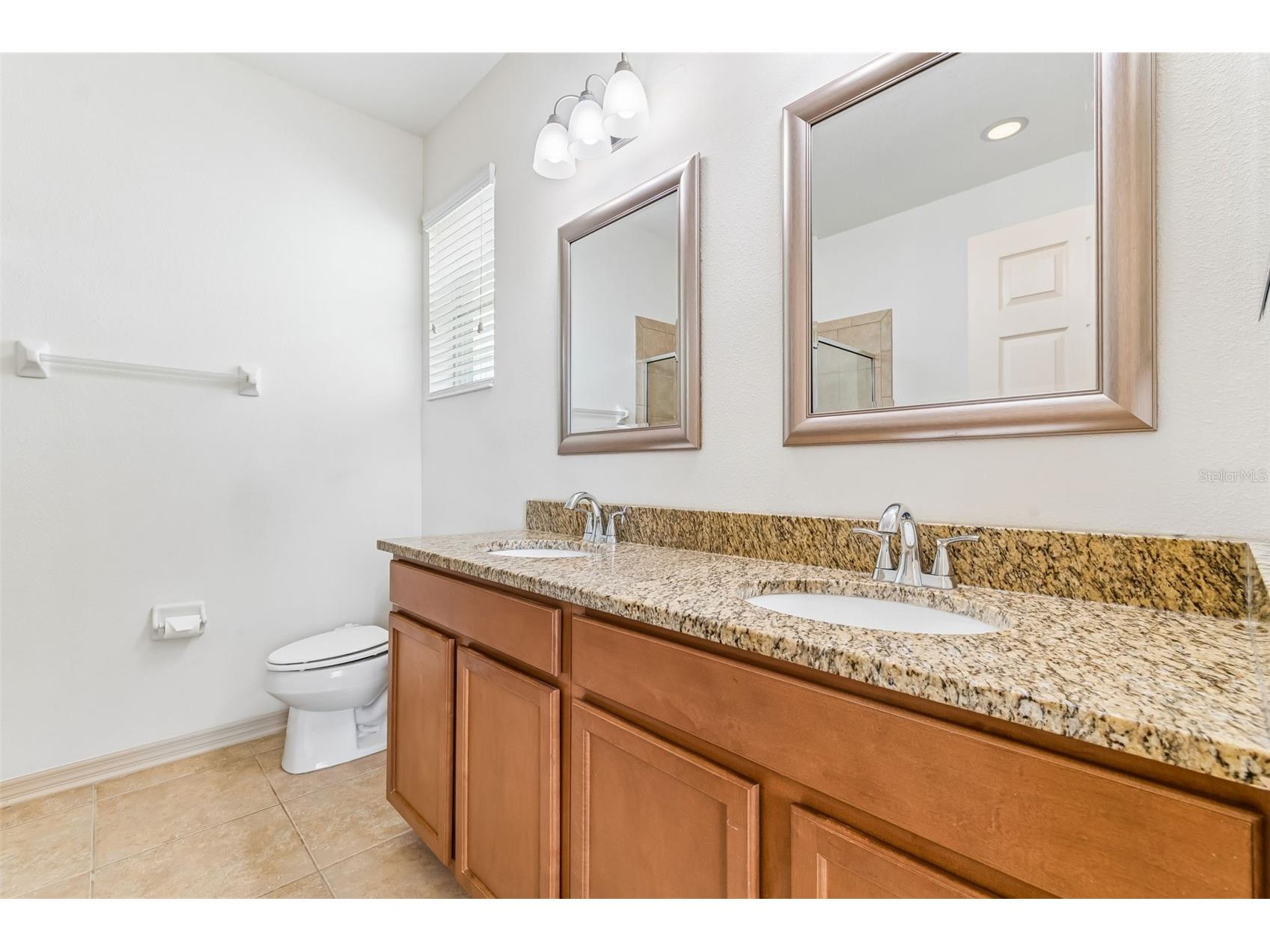 12831 Geneva Glade Drive Riverview FL 33578 TB8486469 image21