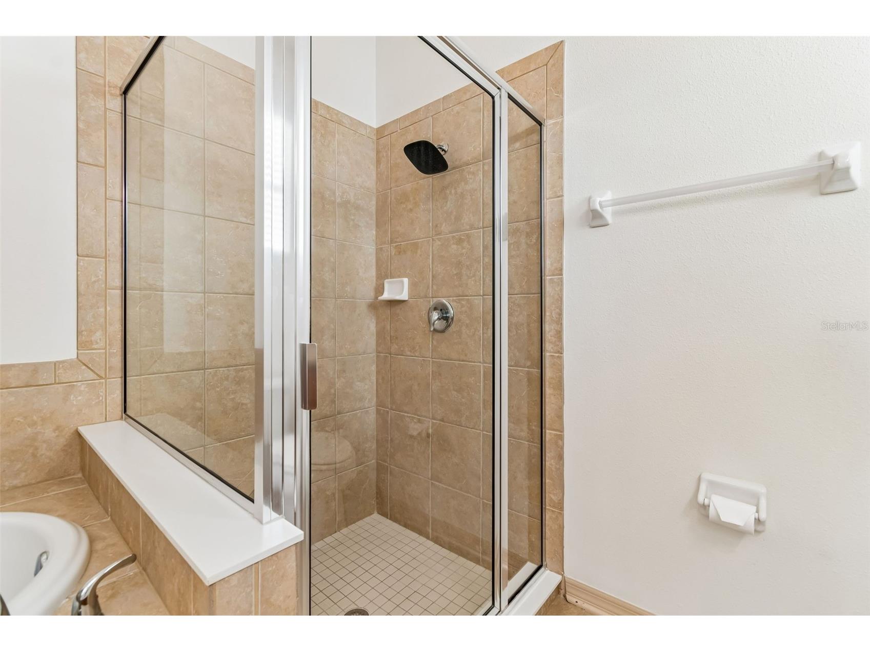 12831 Geneva Glade Drive Riverview FL 33578 TB8486469 image22
