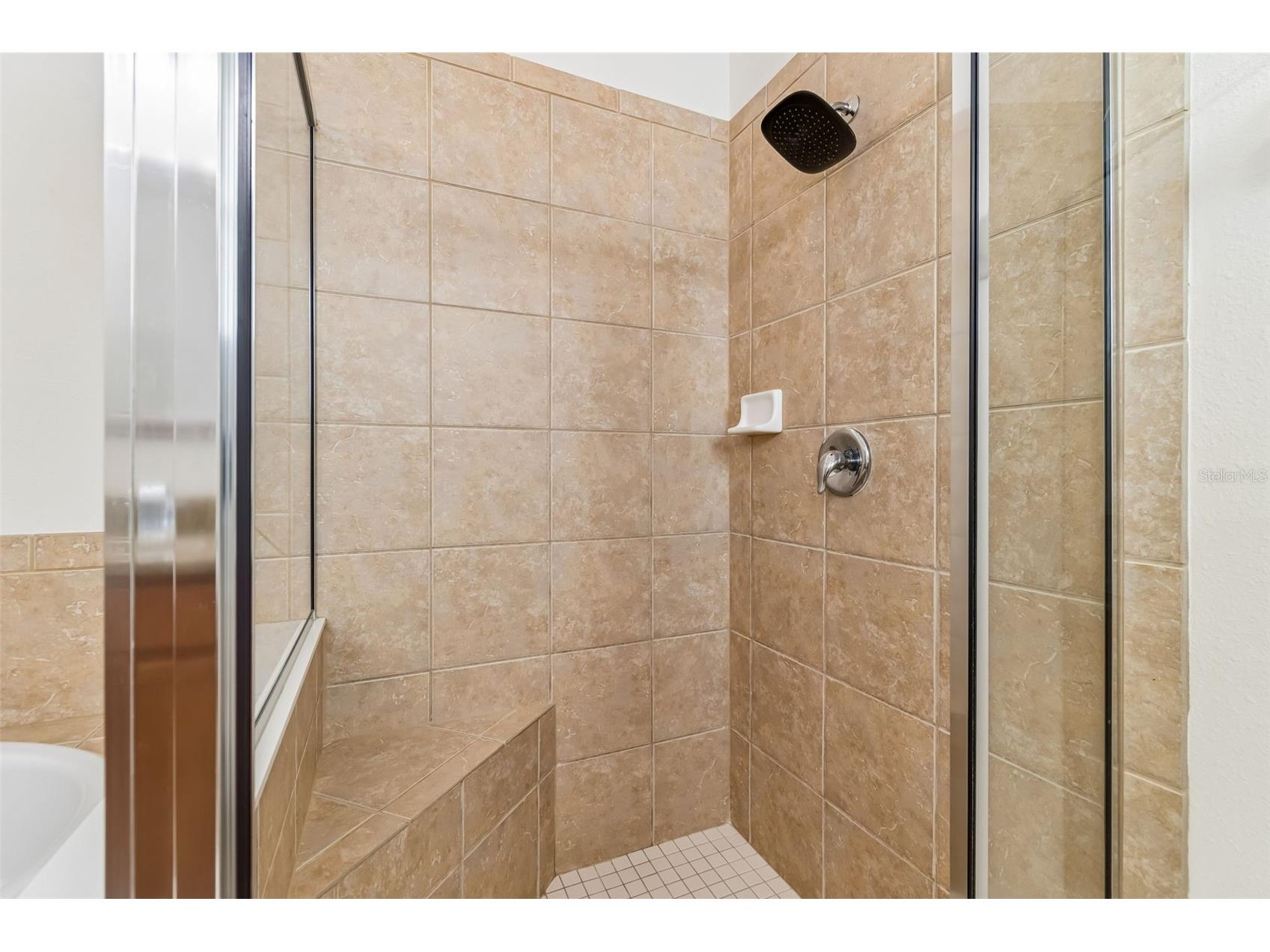 12831 Geneva Glade Drive Riverview FL 33578 TB8486469 image23