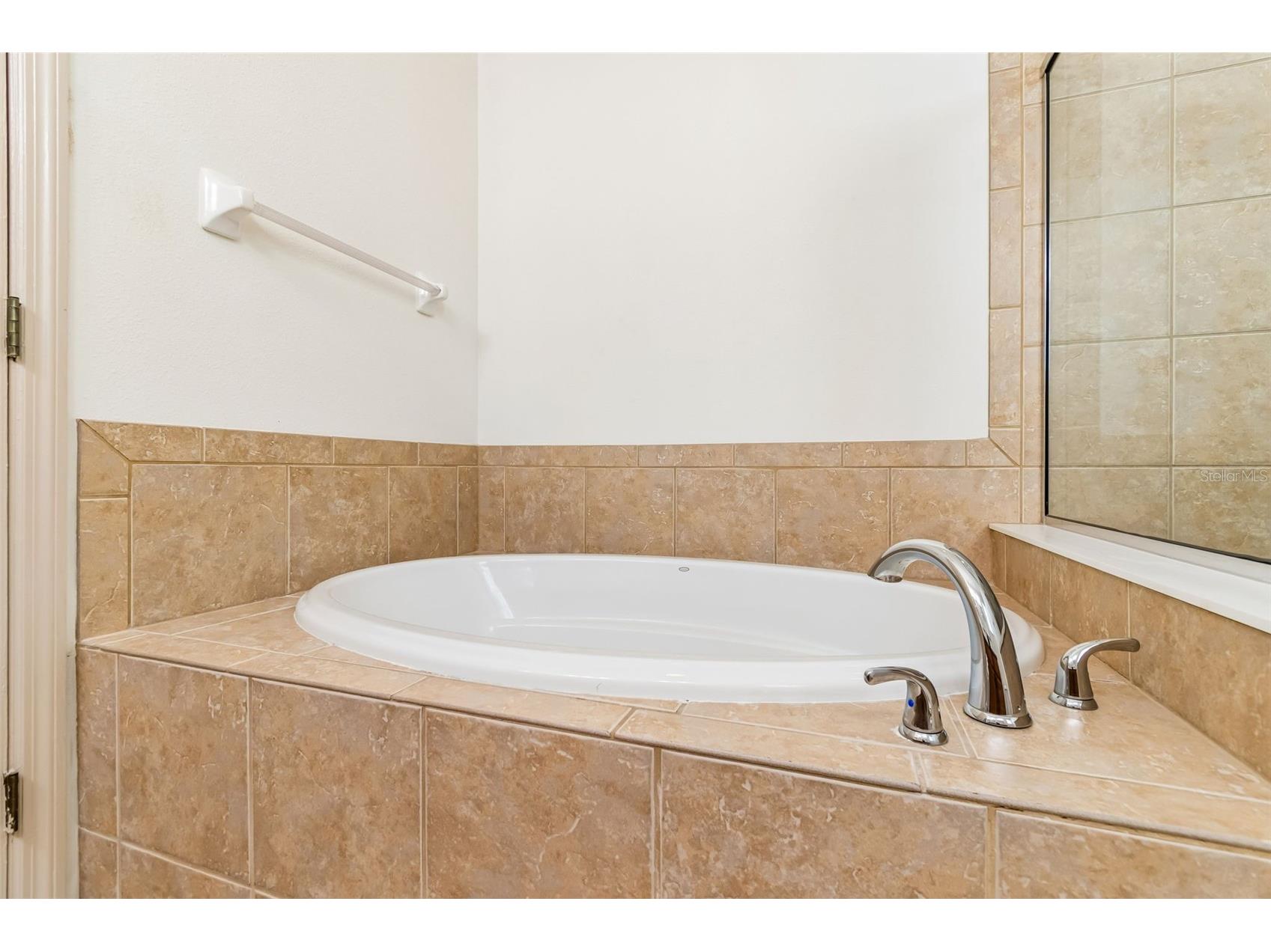12831 Geneva Glade Drive Riverview FL 33578 TB8486469 image24