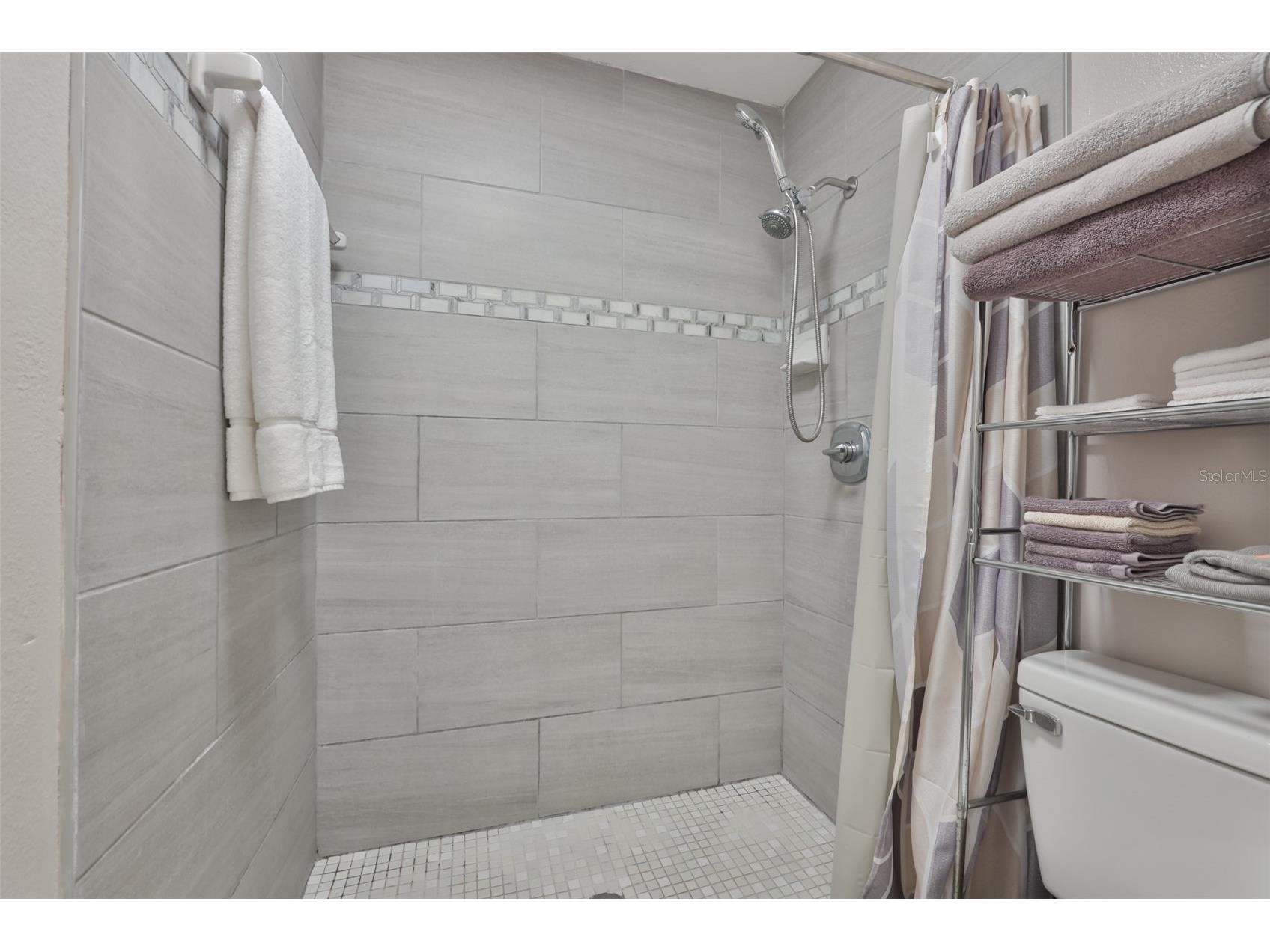 12832 Coverdale Drive Tampa FL 33624 TB8505769 image17